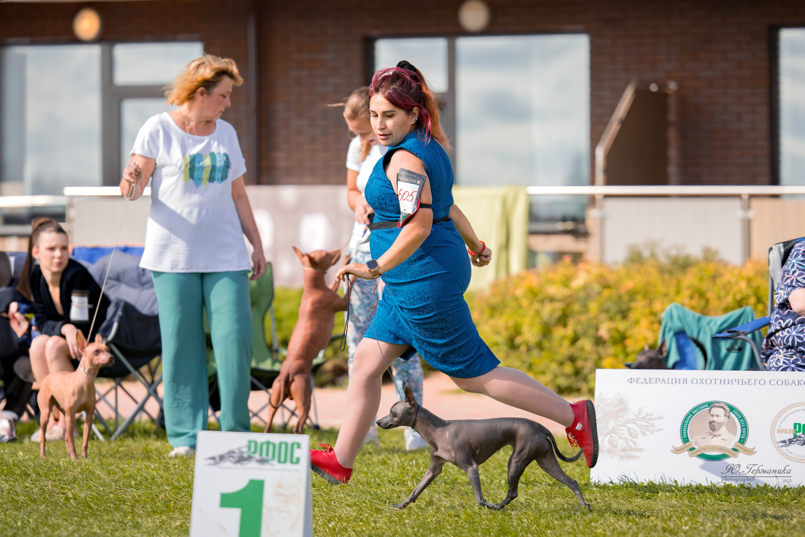 Переславль 5-7.08.2025. Фотограф-анималист Юлия Германика