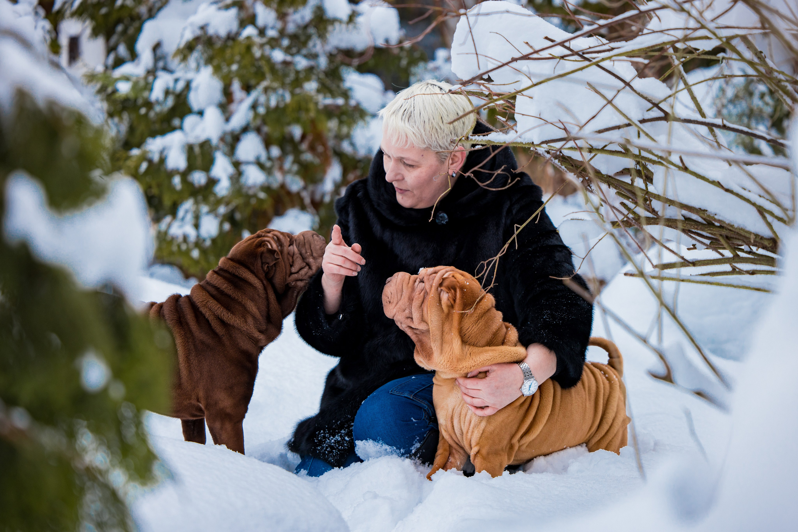 В гостях у шарпеев 16.01.2024. Фотограф-анималист Юлия Германика