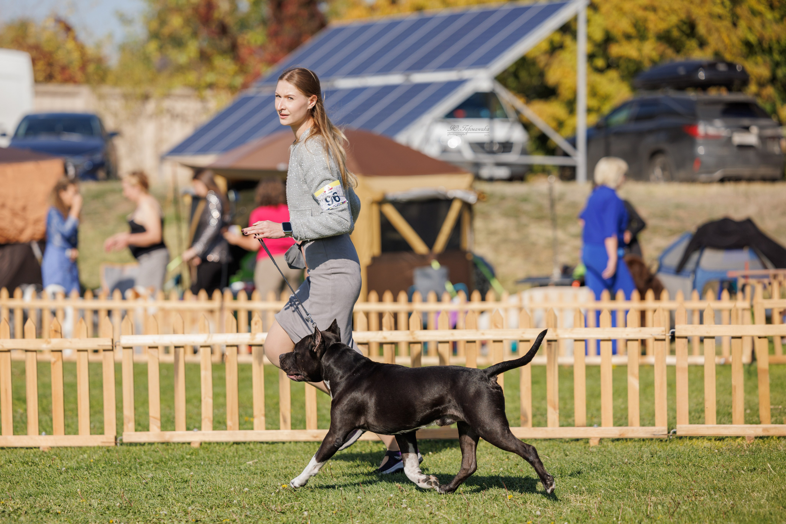 Ереван 14-16.10.2025. Фотограф-анималист Юлия Германика