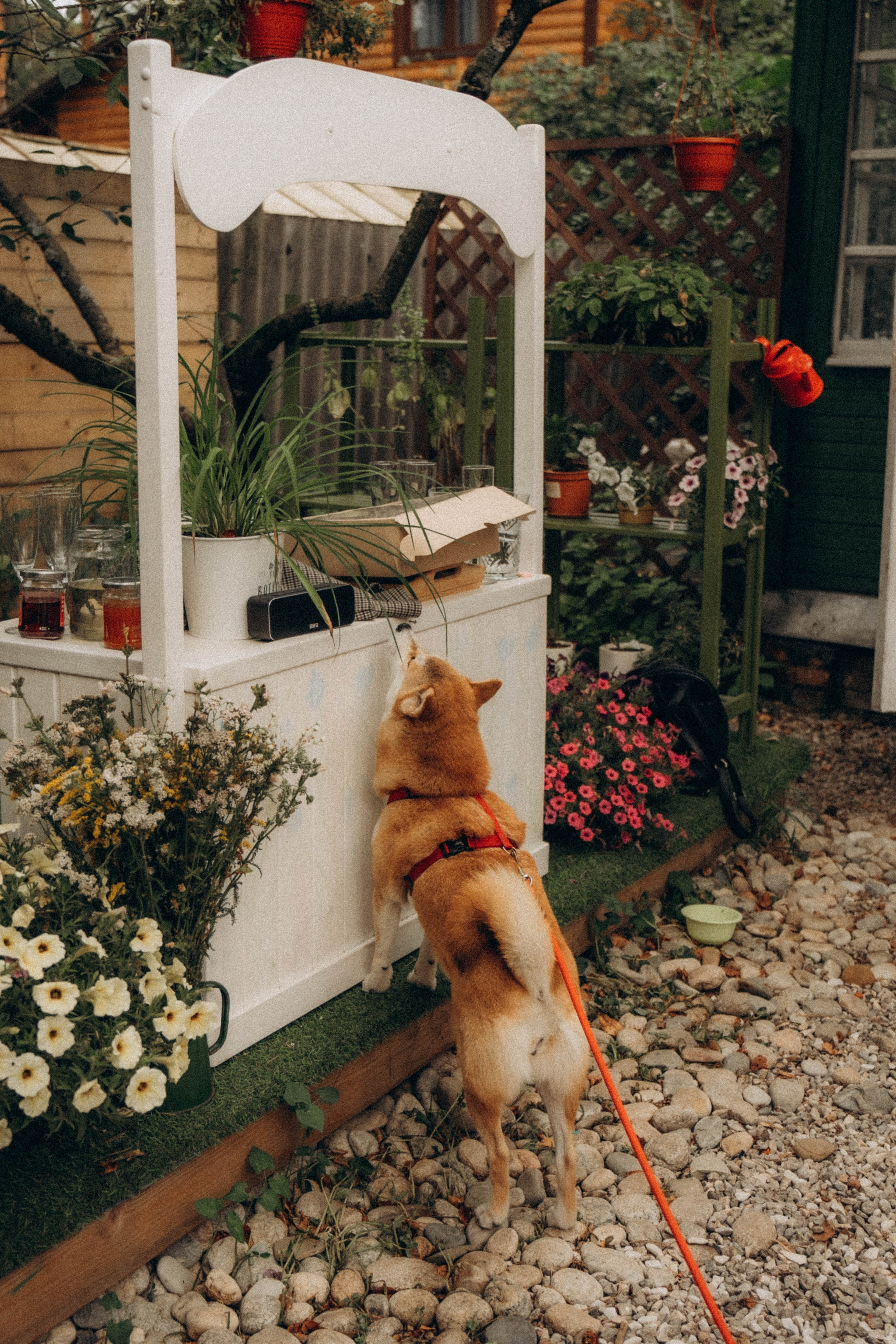 Встречи книжного клуба. Фотограф Москва Селюкова Юлия