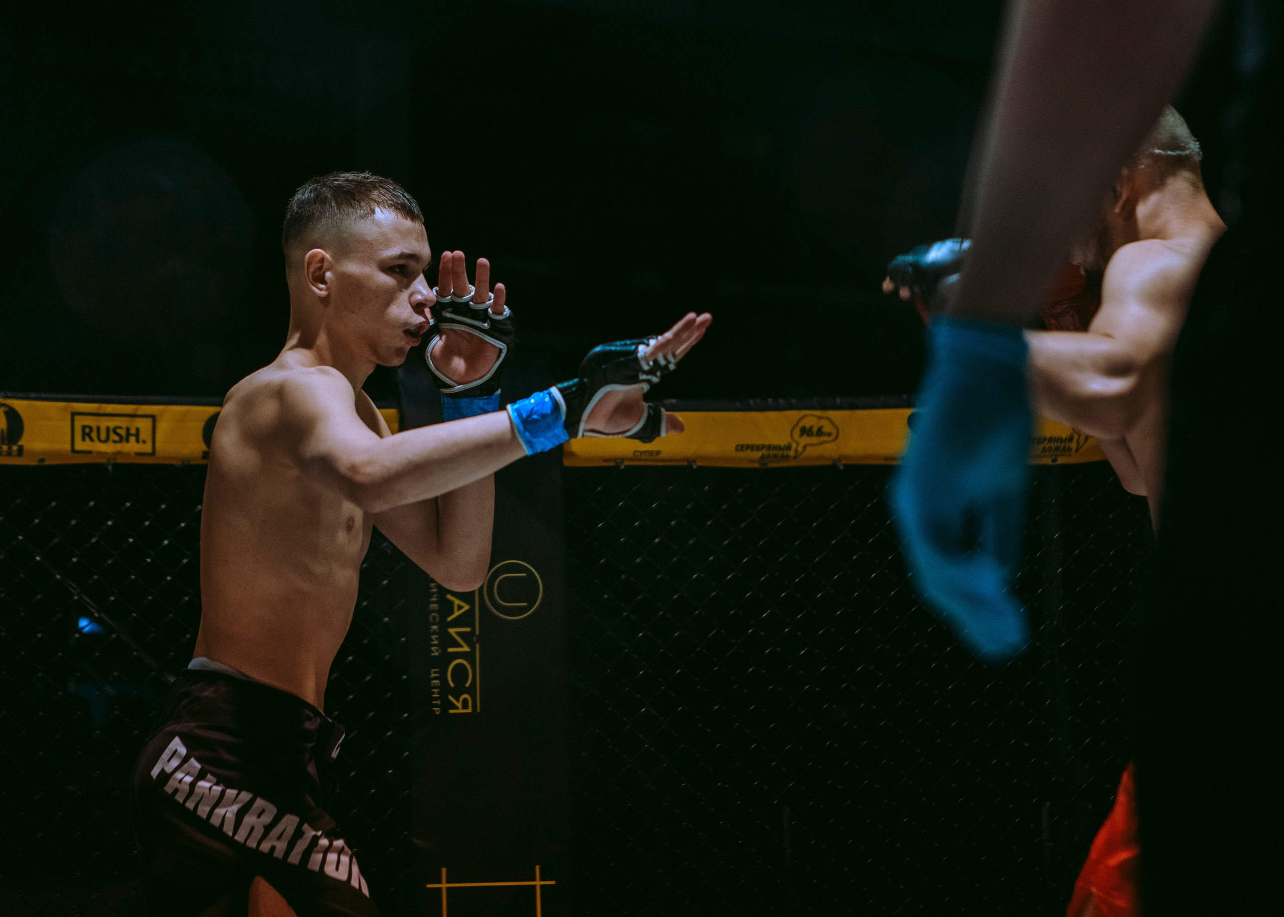 SFL 17 | Siberian Fighting League. Портретный фотограф в Москве Дарья Цезария