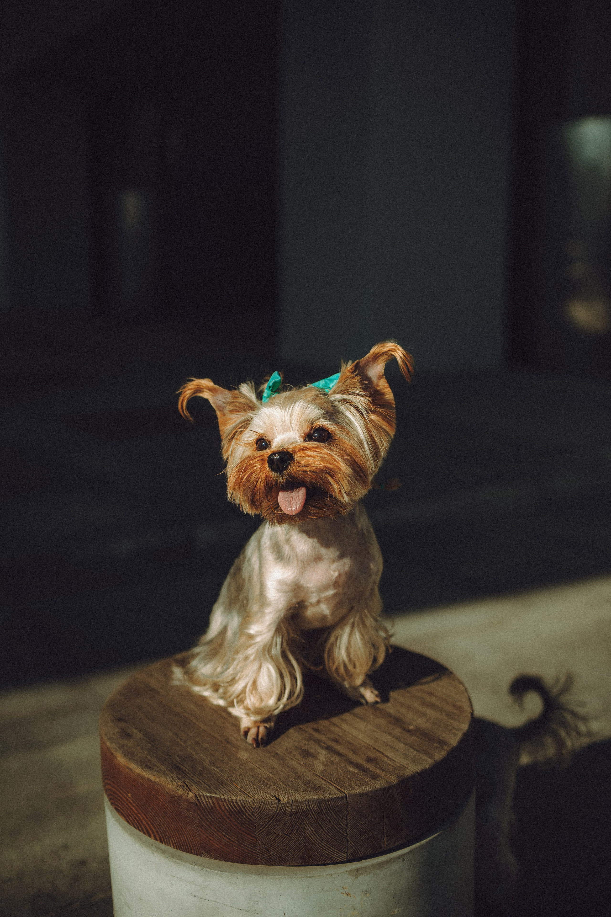 Дженни, Оливия и их семья