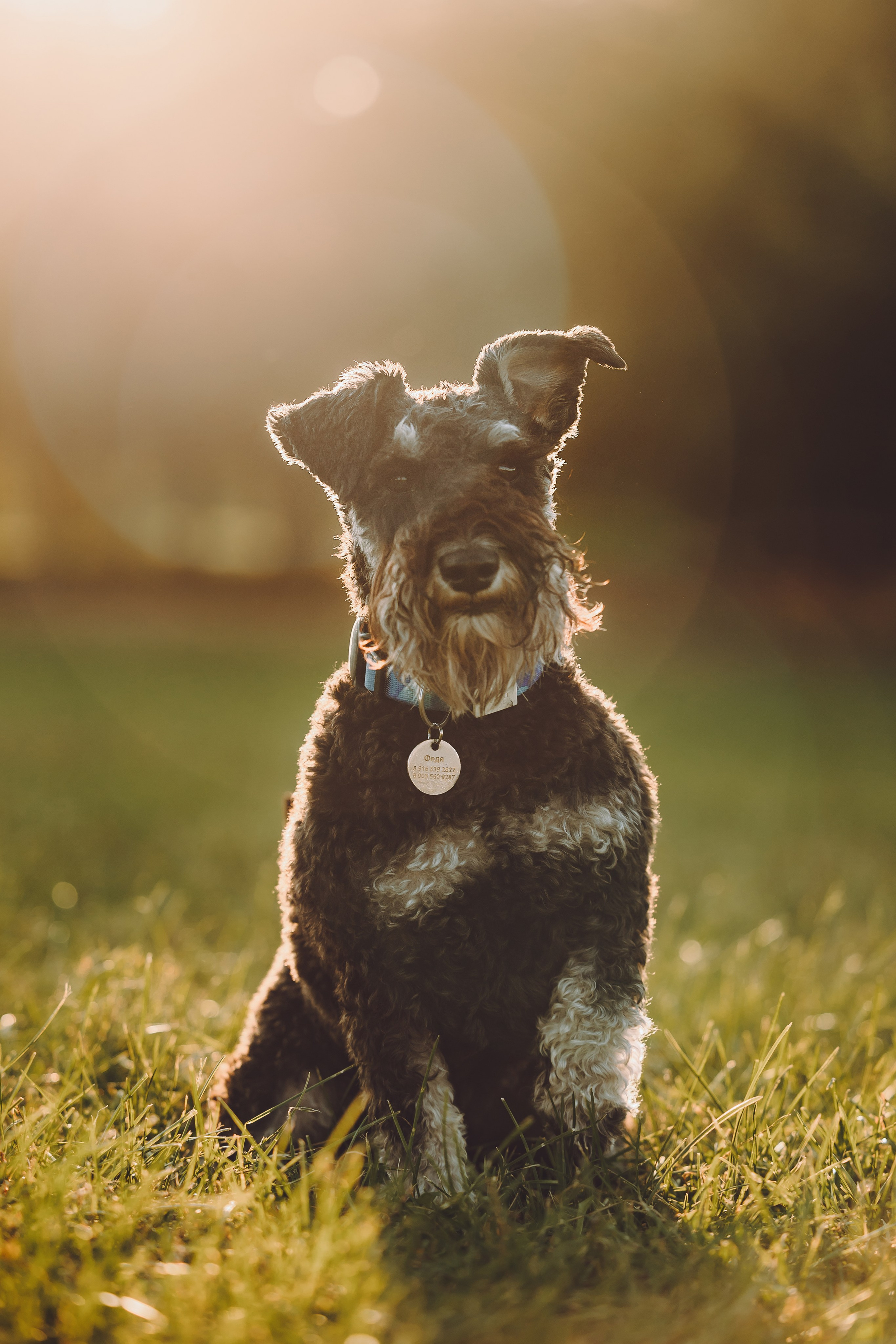 Кристина и все-все