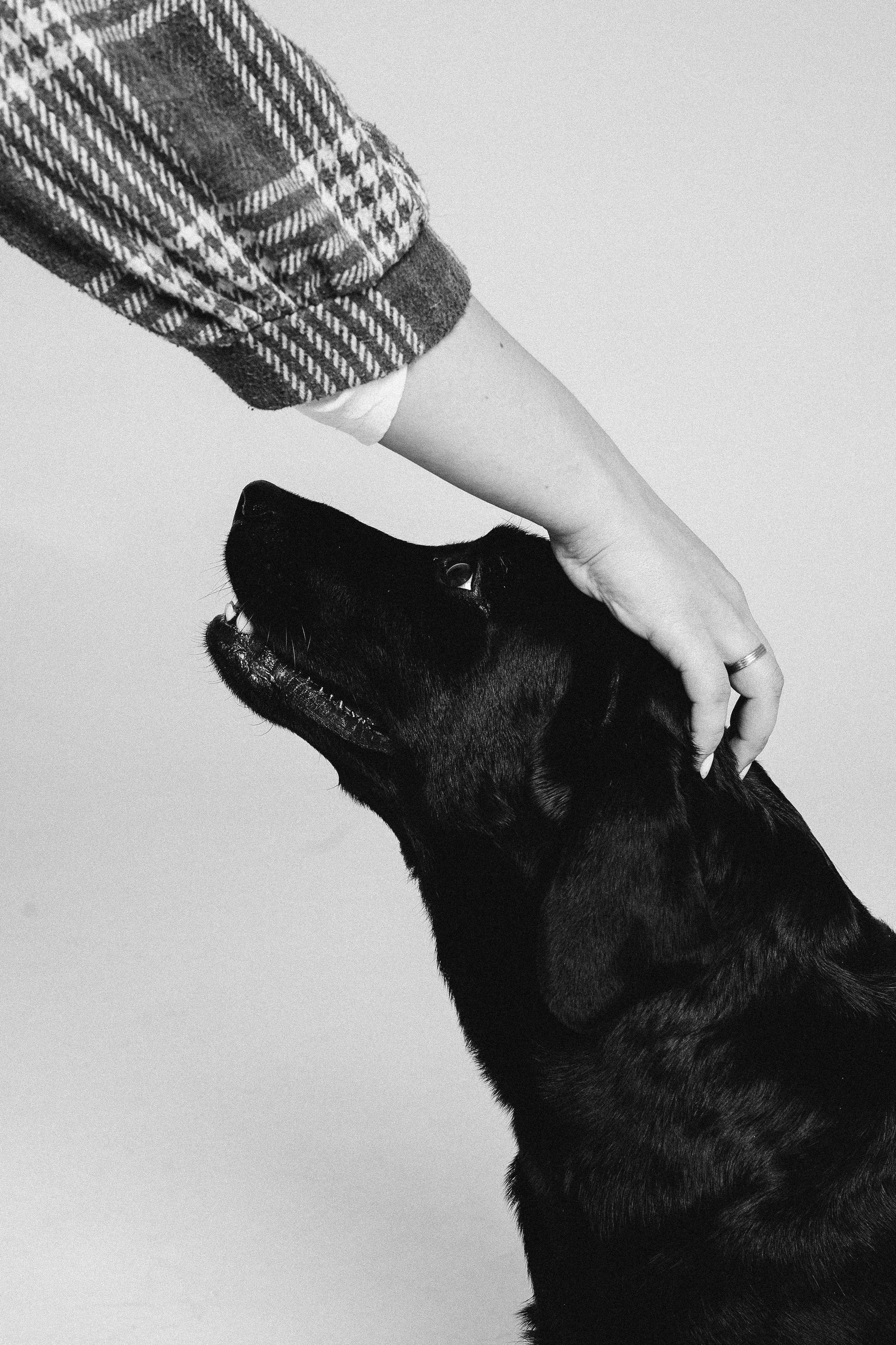 Ярослав, Александра, Данил и Юна. Семейный и женский фотограф в городе Тюмень