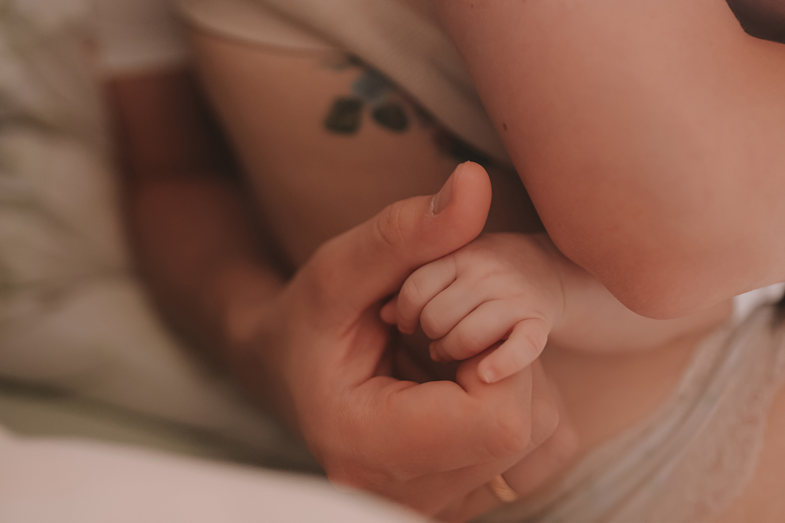 Аня, 2 месяца. Семейный фотограф Тюмень, фотограф на роды Салмина Мария