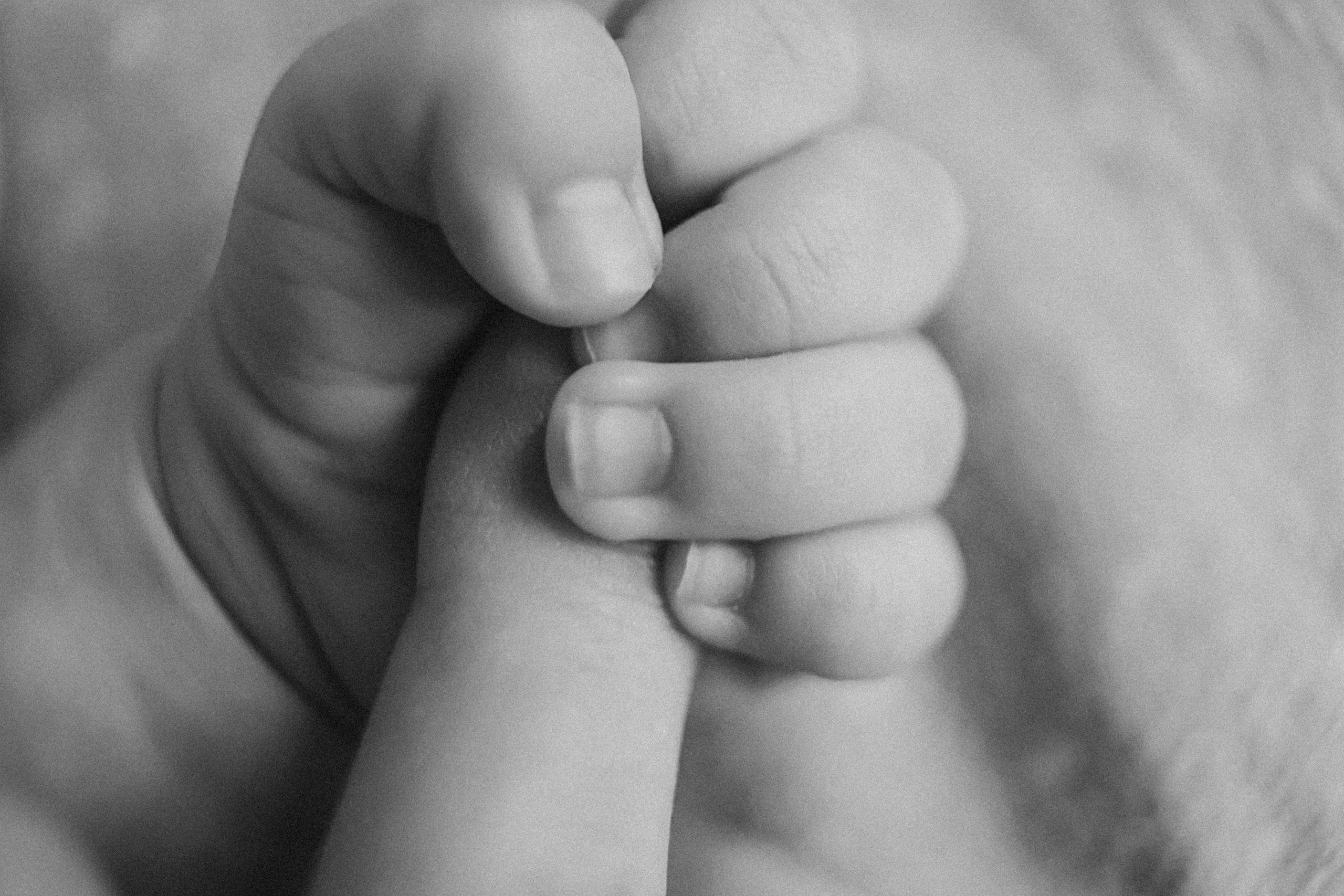 Аня, 2 месяца. Семейный фотограф Тюмень, фотограф на роды Салмина Мария