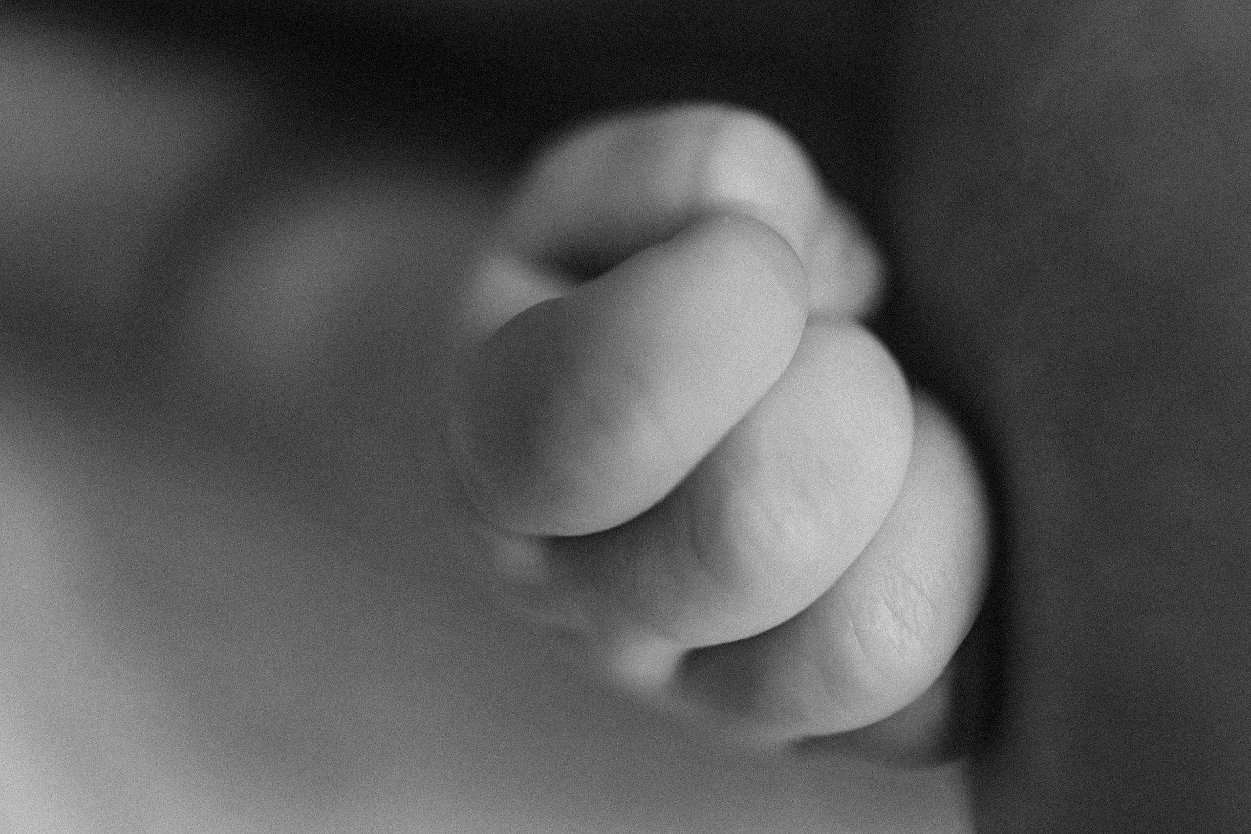 Аня, 2 месяца. Семейный фотограф Тюмень, фотограф на роды Салмина Мария