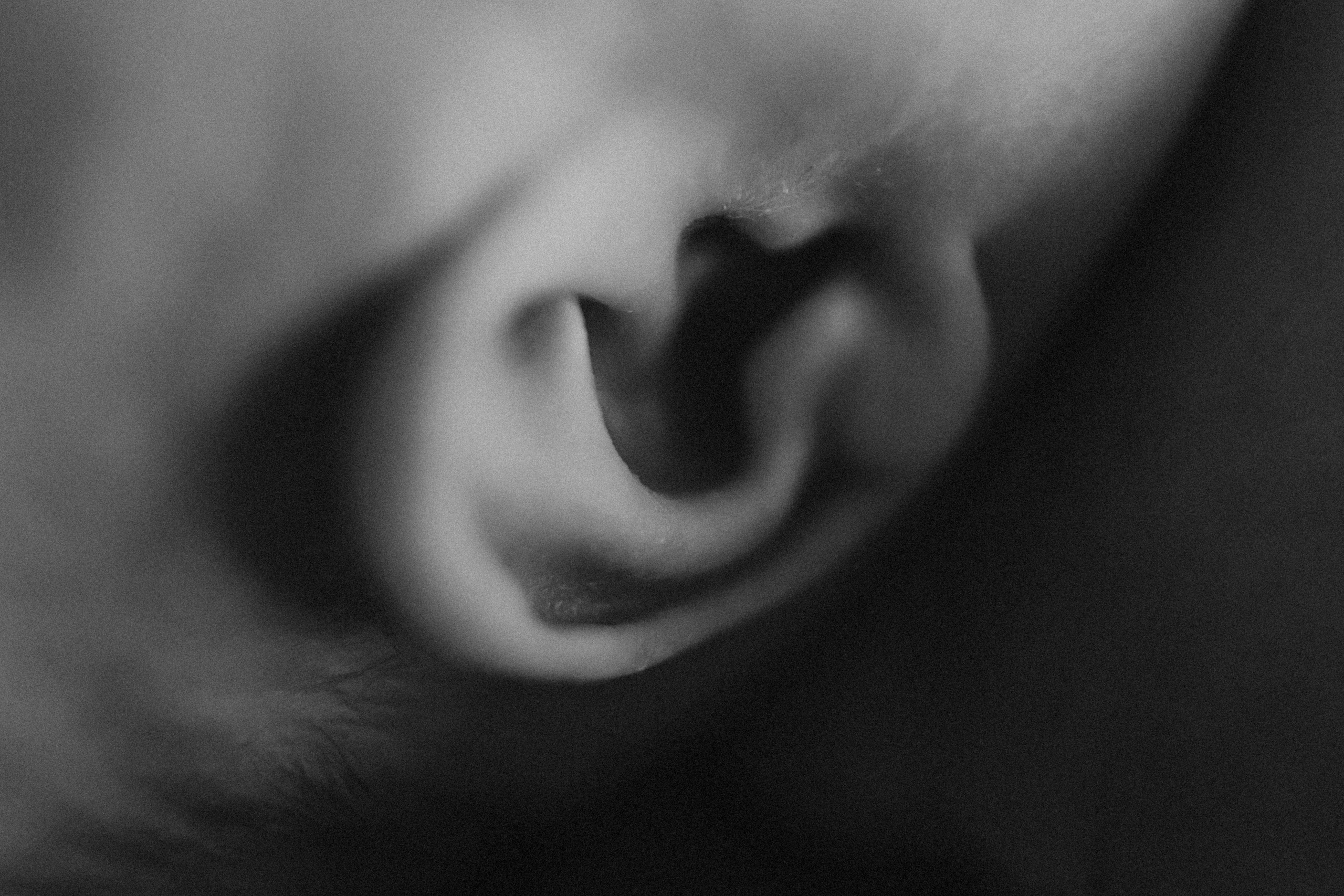 Аня, 2 месяца. Семейный фотограф Тюмень, фотограф на роды Салмина Мария