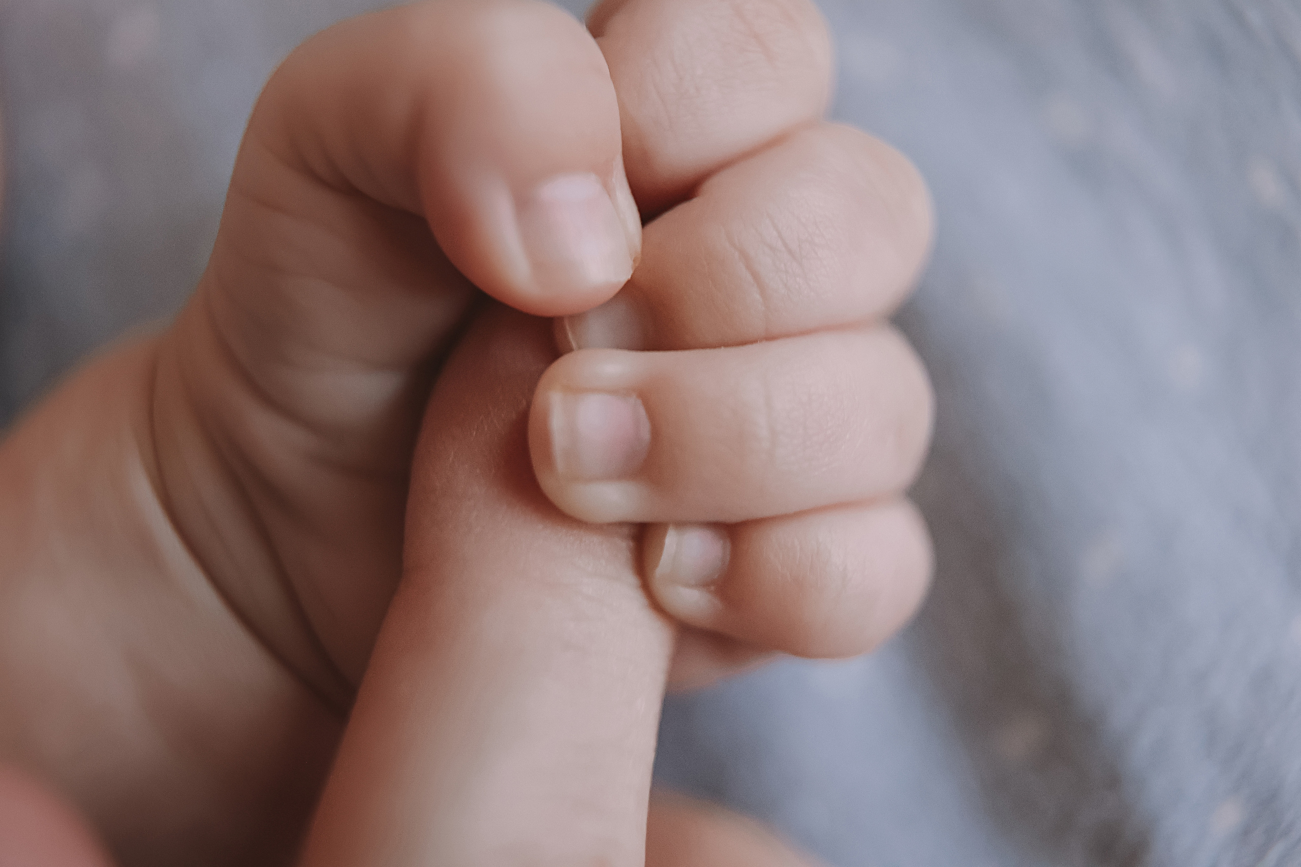 Аня, 2 месяца. Семейный фотограф Тюмень, фотограф на роды Салмина Мария