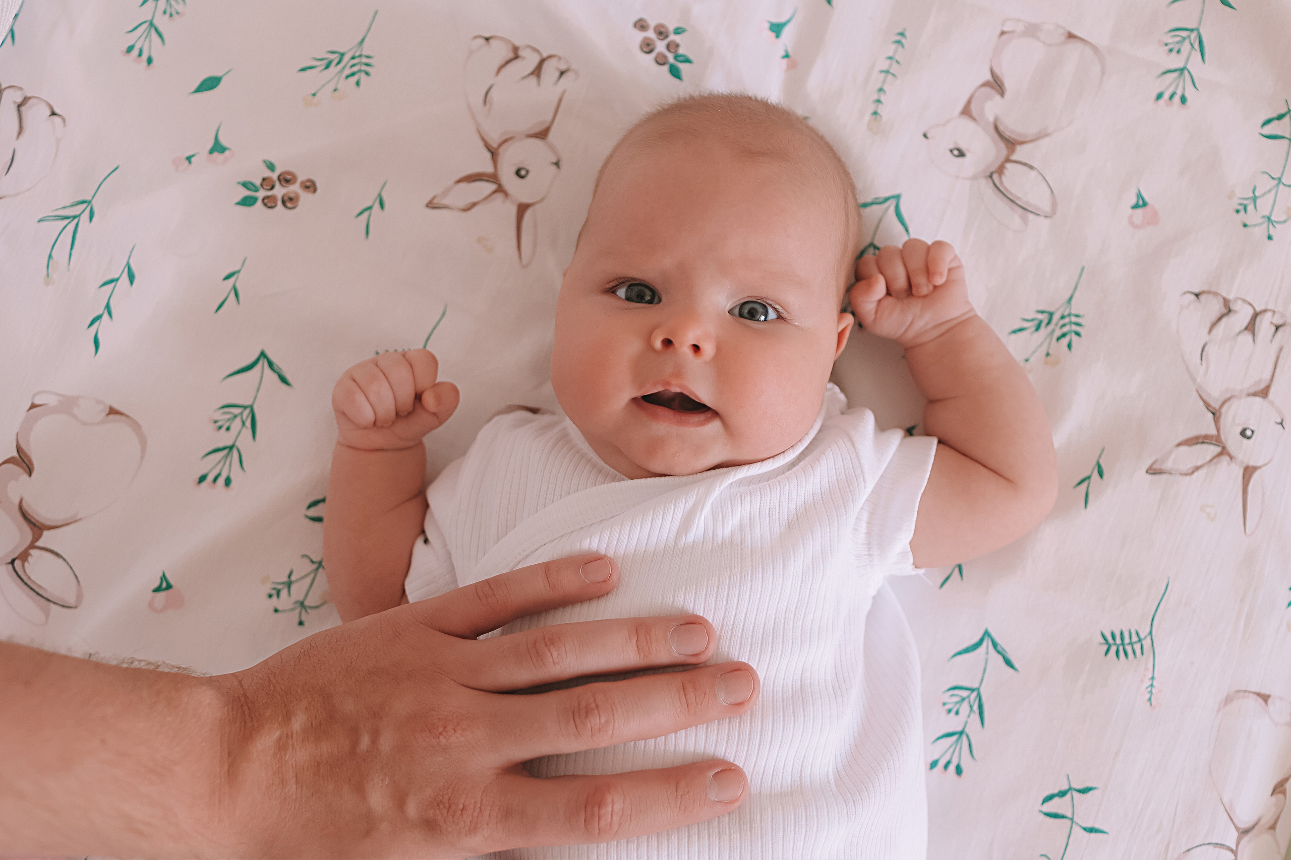 Аня, 2 месяца. Семейный фотограф Тюмень, фотограф на роды Салмина Мария