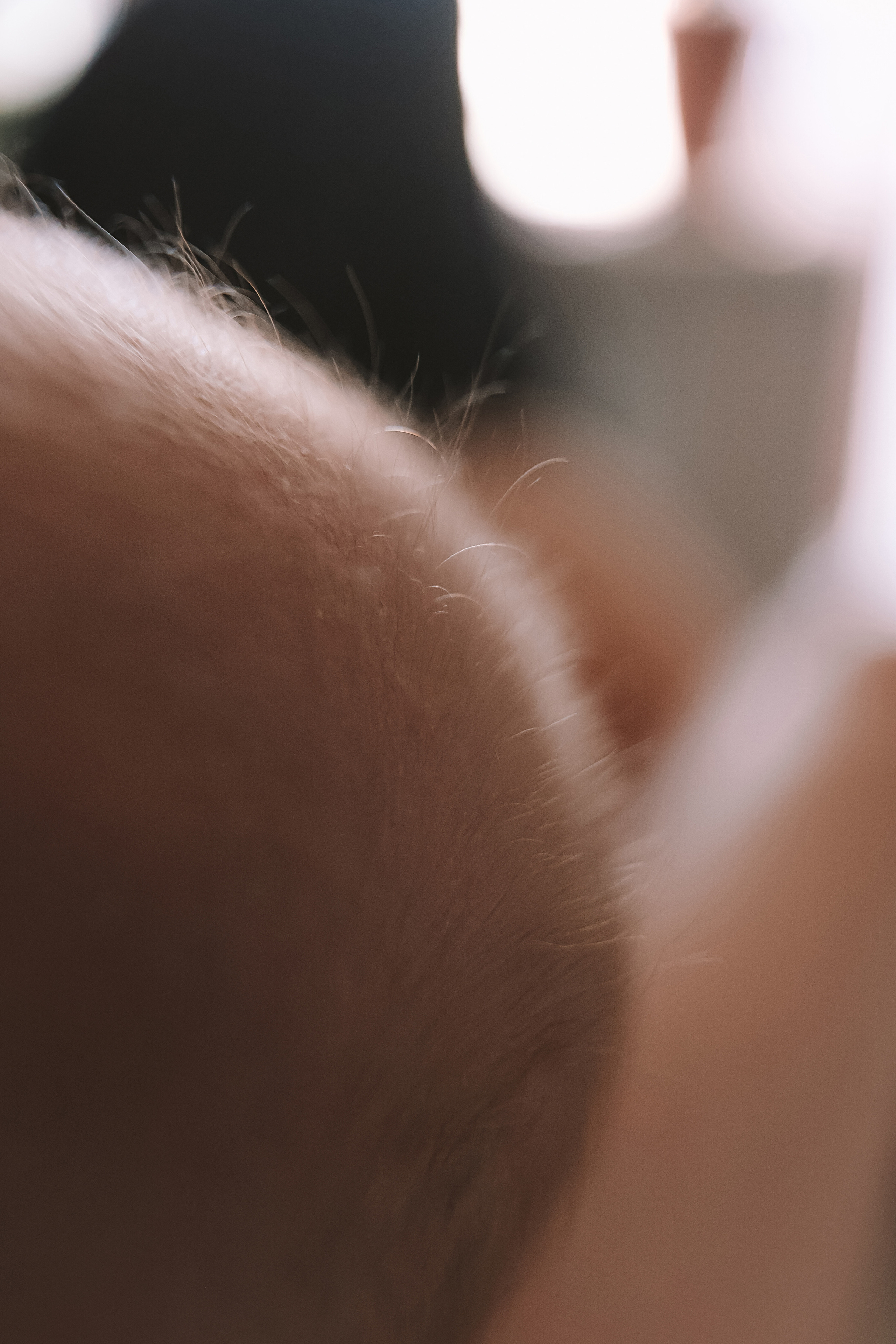 Аня, 2 месяца. Семейный фотограф Тюмень, фотограф на роды Салмина Мария