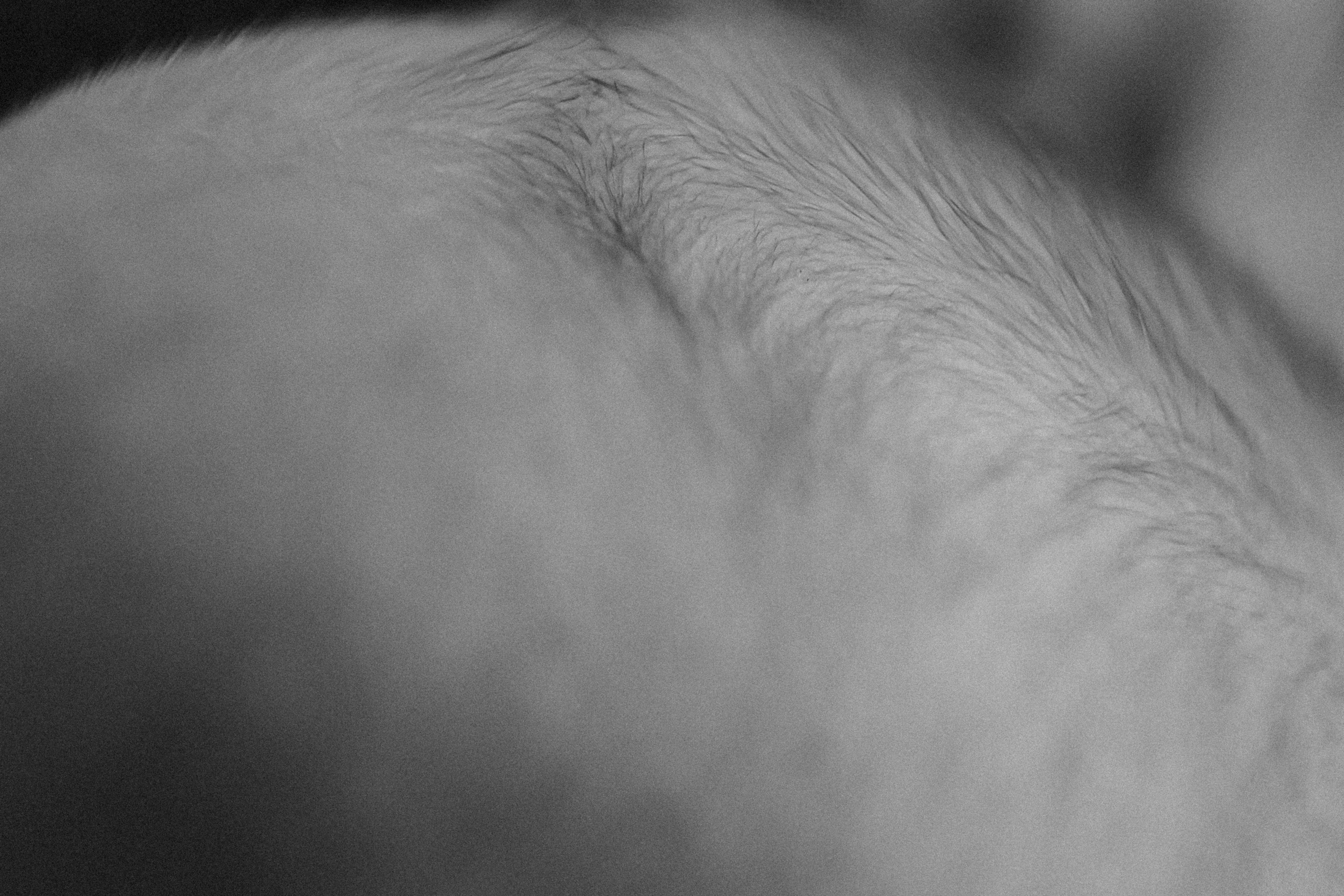 Аня, 2 месяца. Семейный фотограф Тюмень, фотограф на роды Салмина Мария