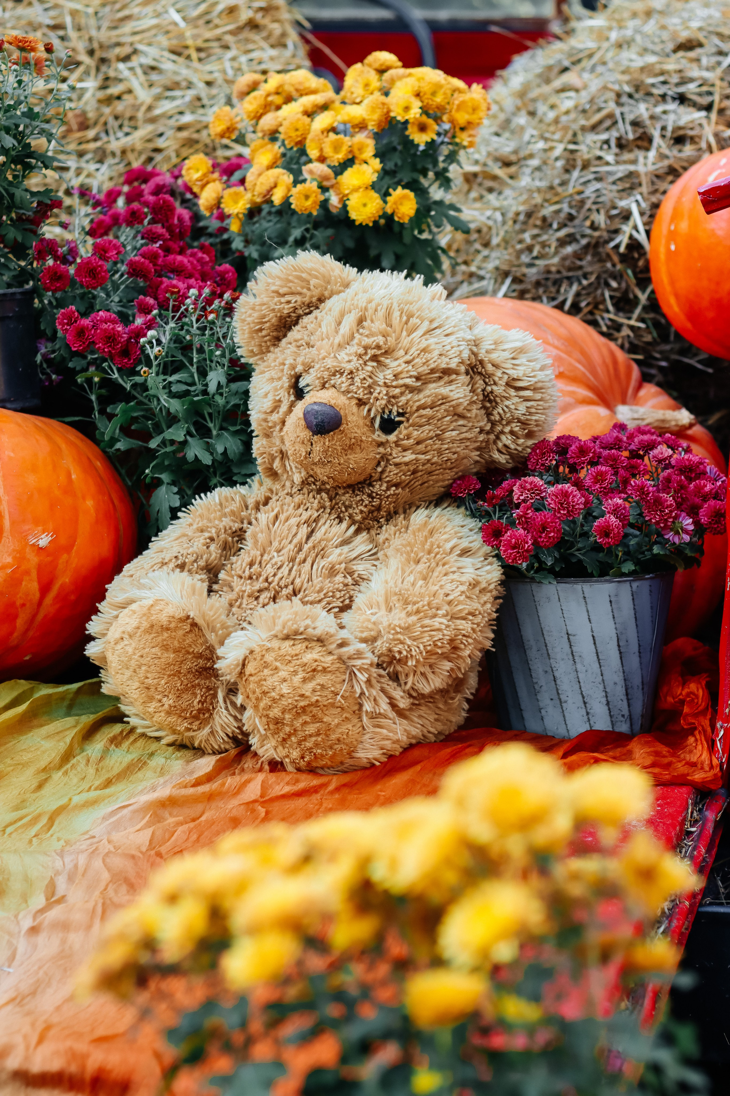 Деревенские зарисовки (Family). Ирина, фотограф Москва/Бутово