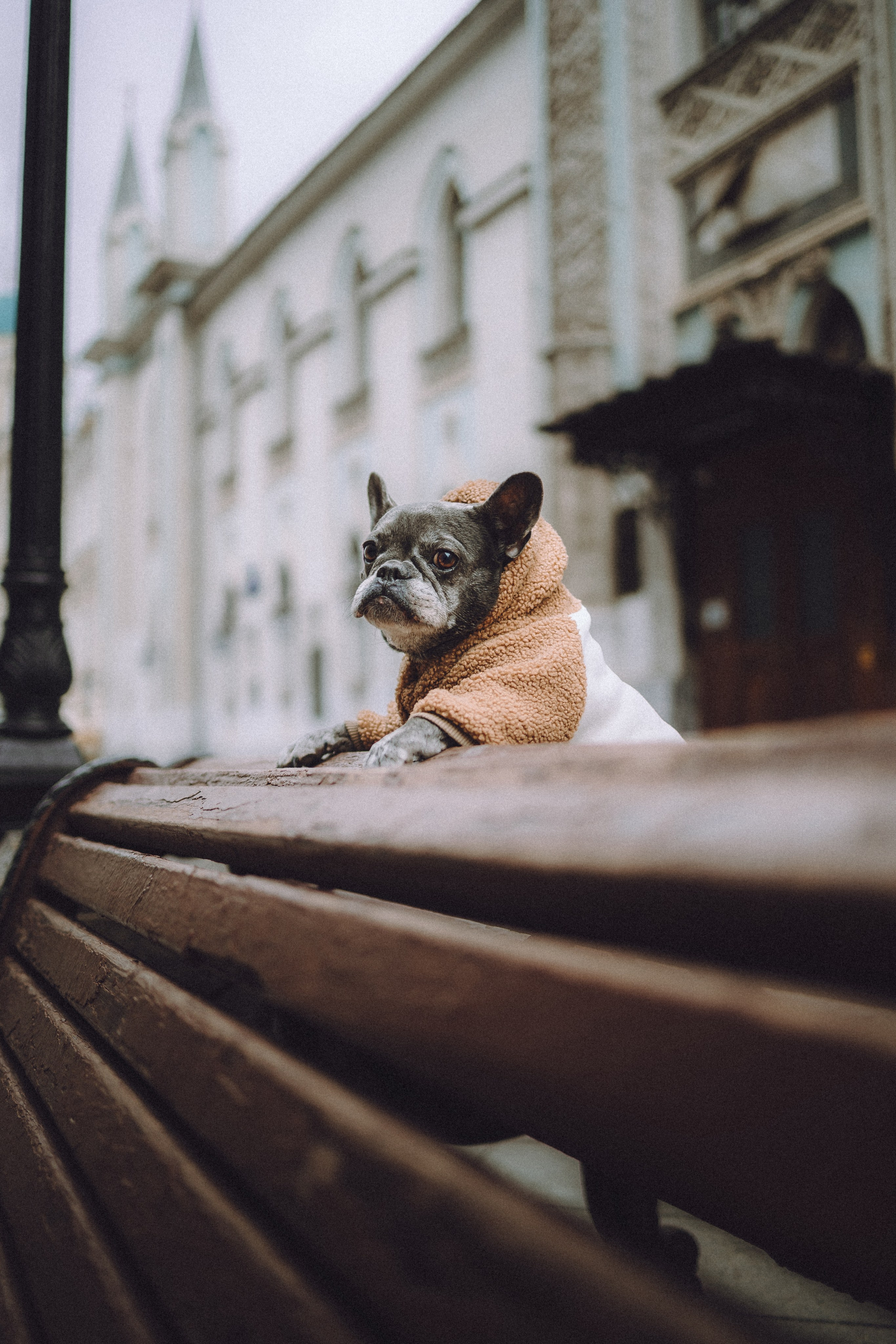 Юля, Вова и Моня