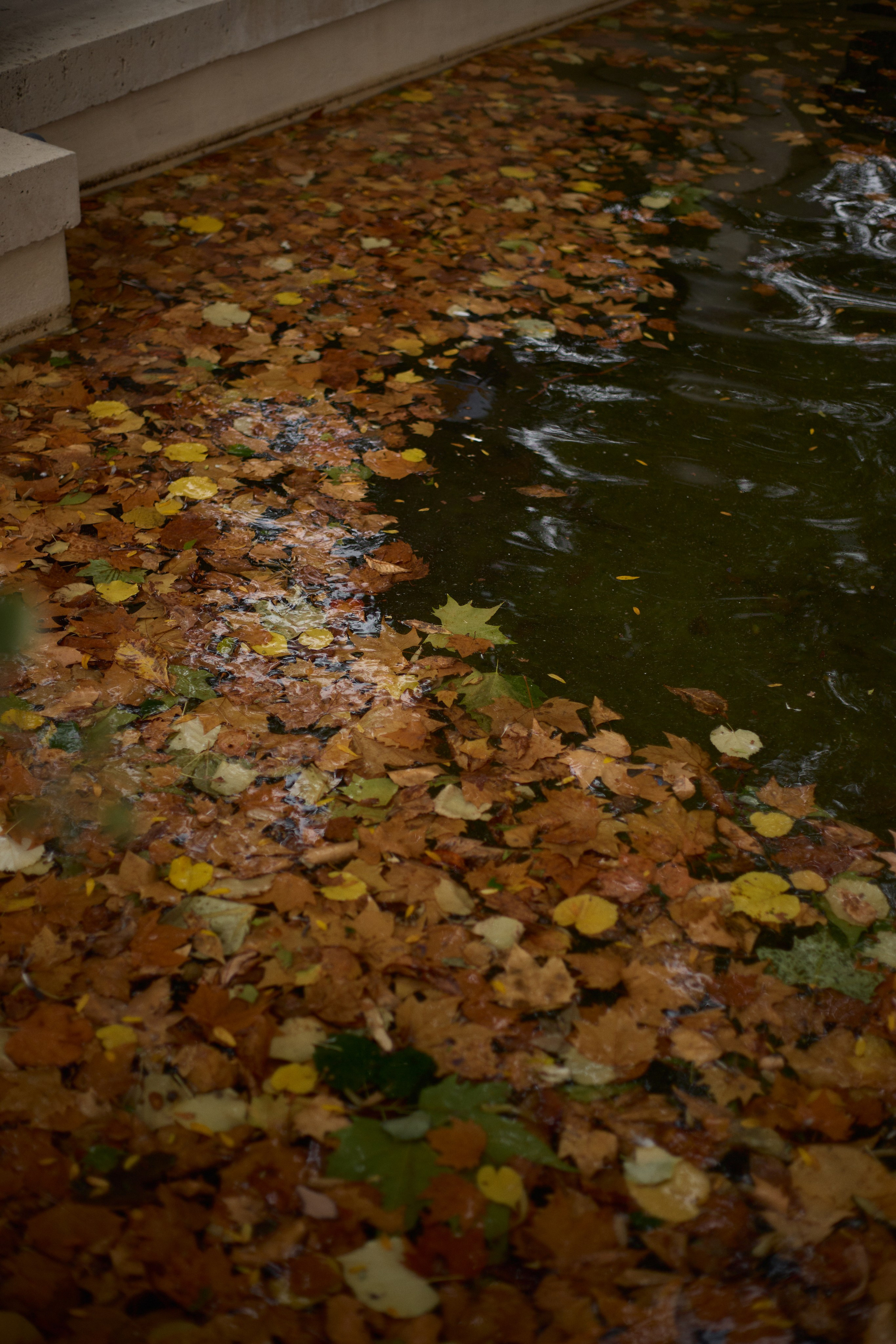 France (Provence & Paris) Sep'25. Анастасия Зобнинá — фотограф в Санкт-Петербурге/СПб