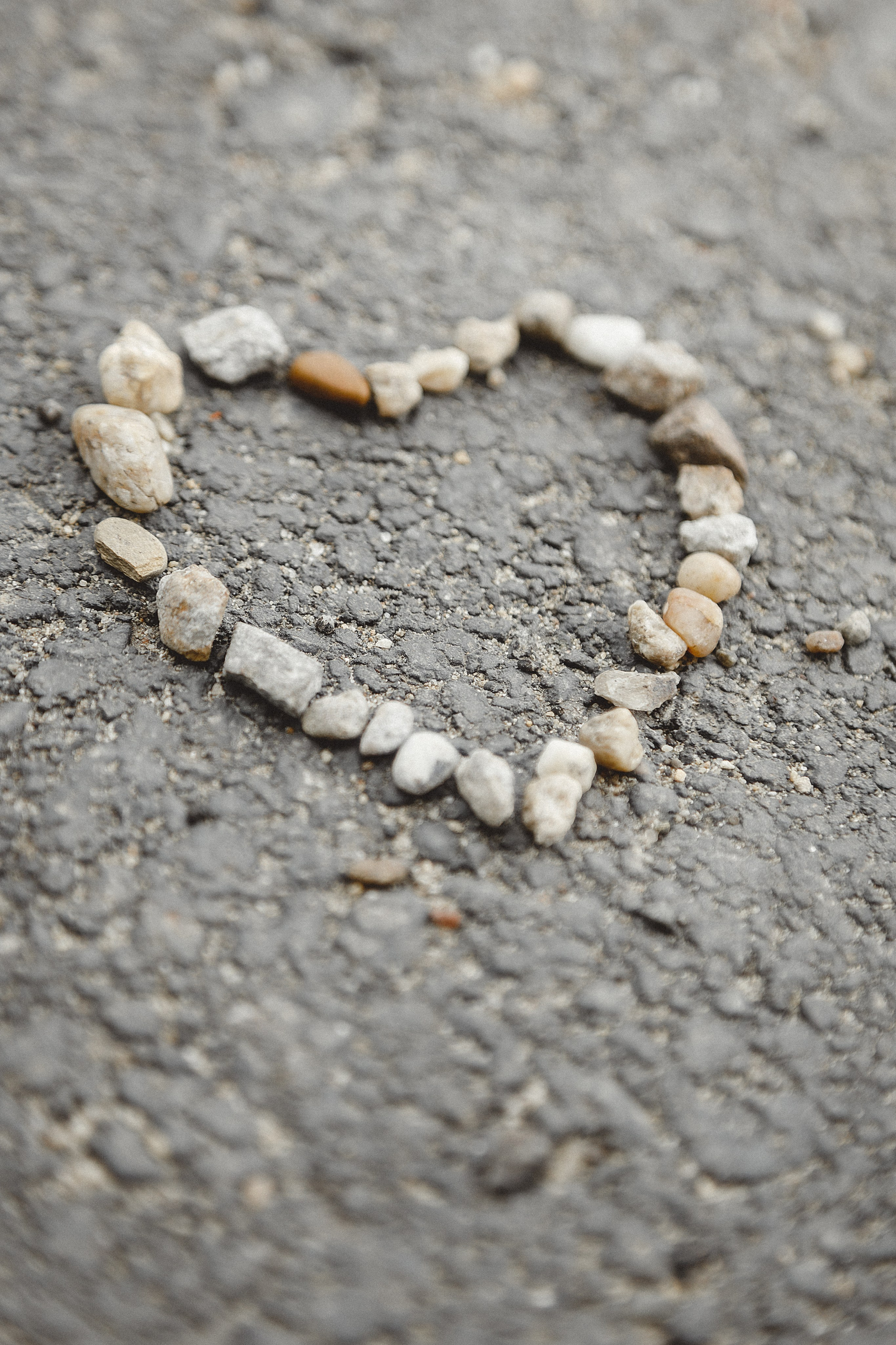 Проект «366»|2024|Фото каждый день. LENA GRACE photographer ||ЛЕНА ГРЭЙС фотограф