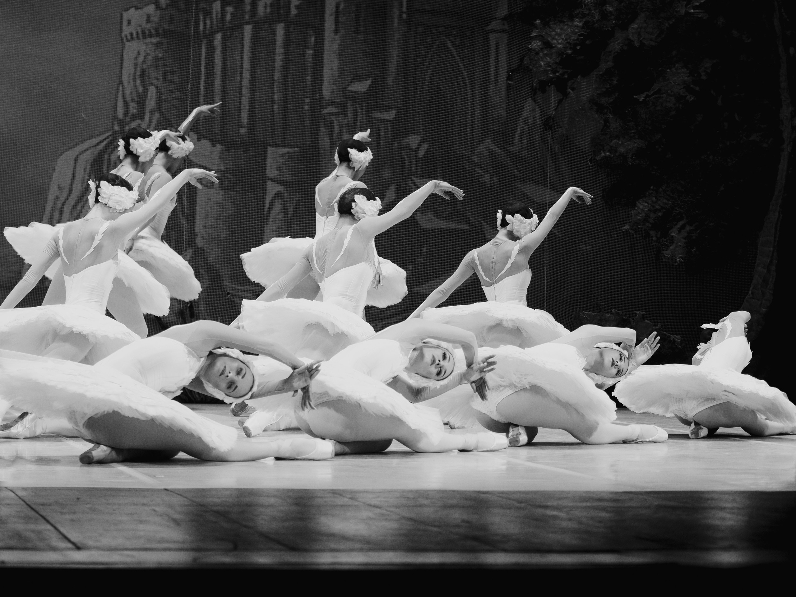 Балет «Лебединое озеро». Маруся Машкова • Фотограф в Москве