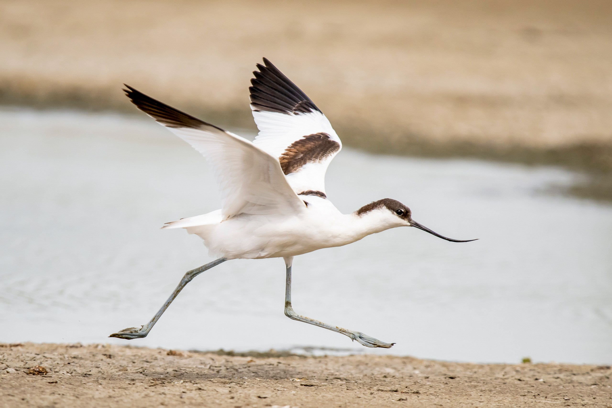 Природа Дагестана, сентябрь 2024. Foto-Zuev фотография как искусство
