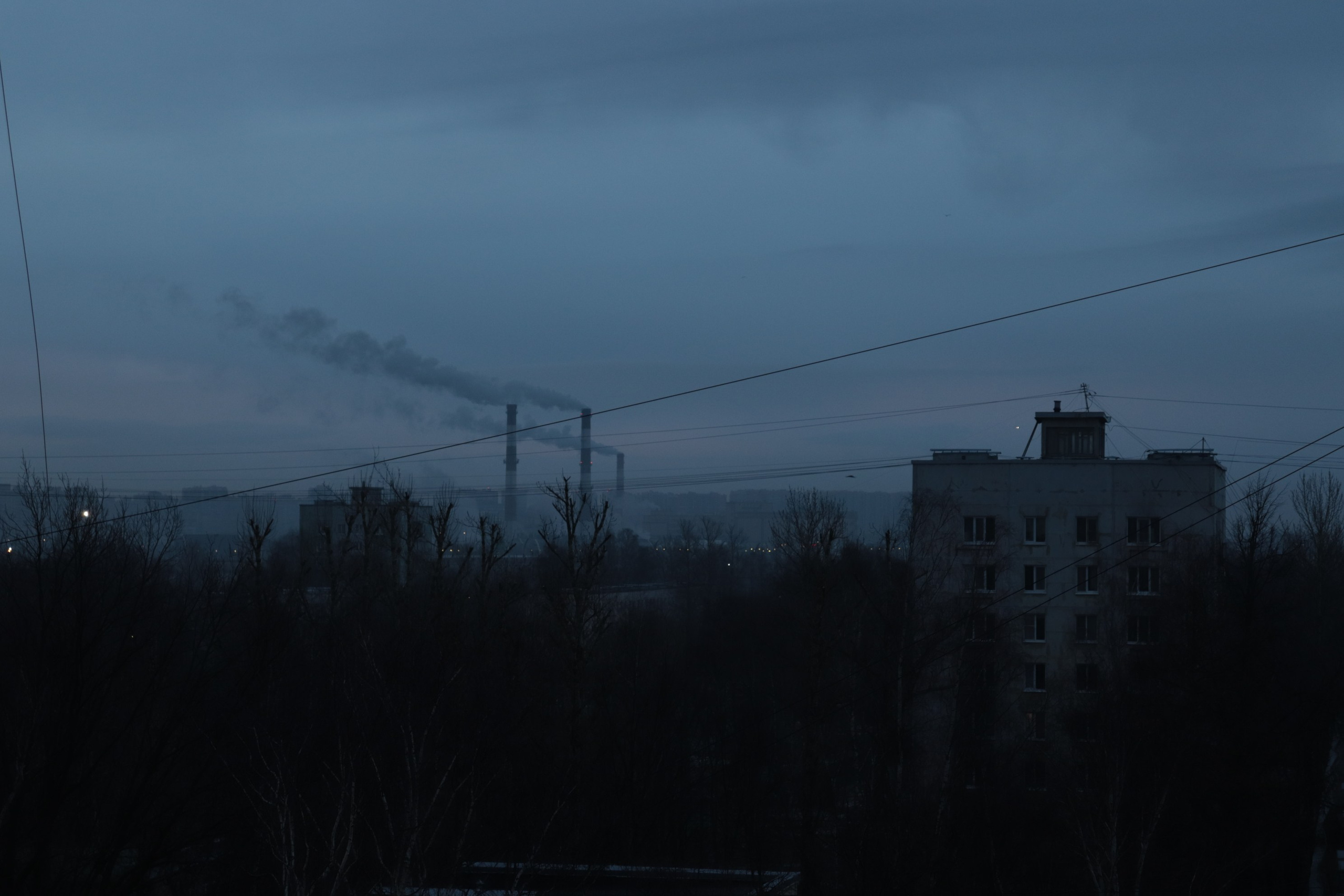 Из наблюдений. Плак или Квак