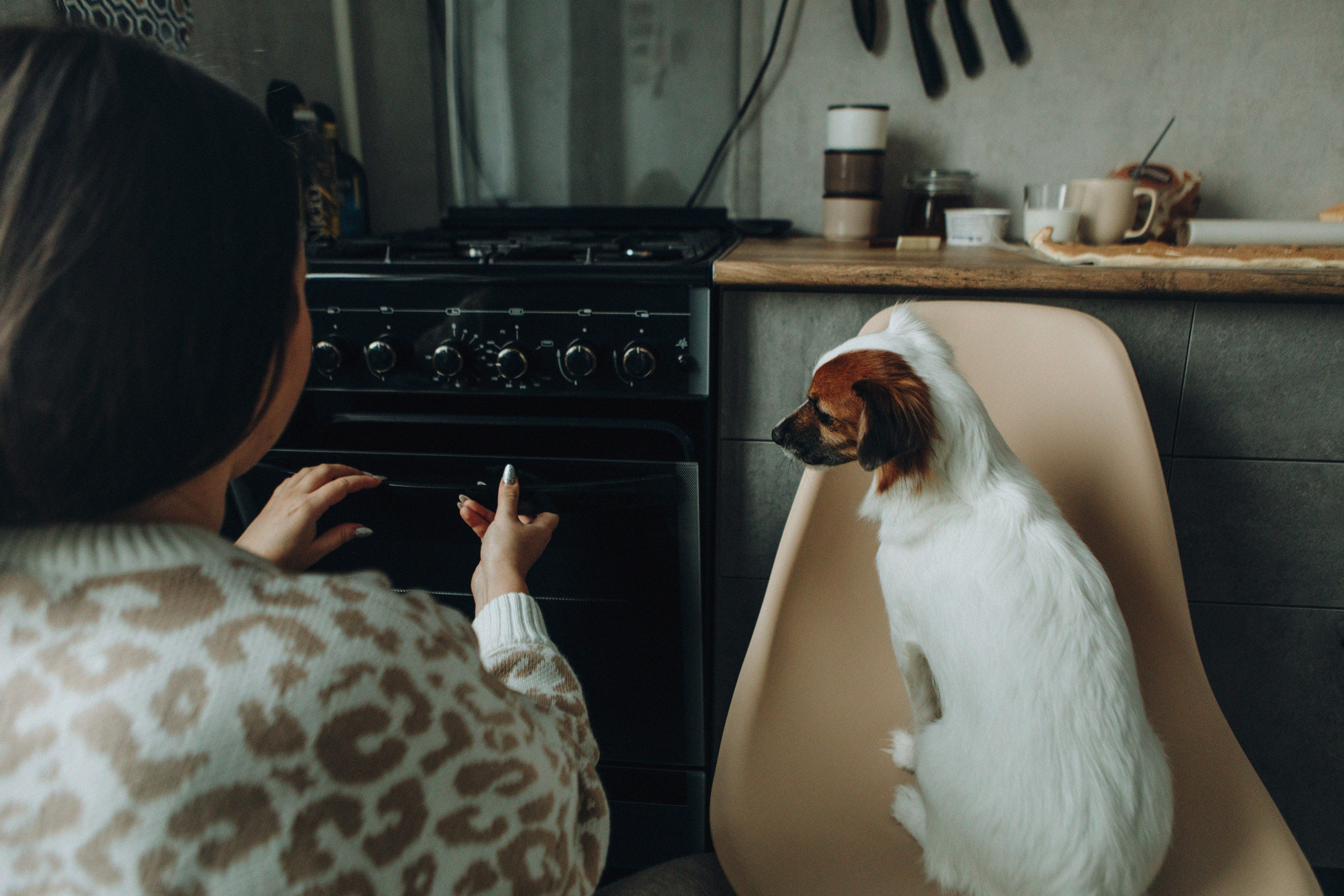 Break fast with a dog. Свадебный и семейный фотограф Арестенко Анастасия