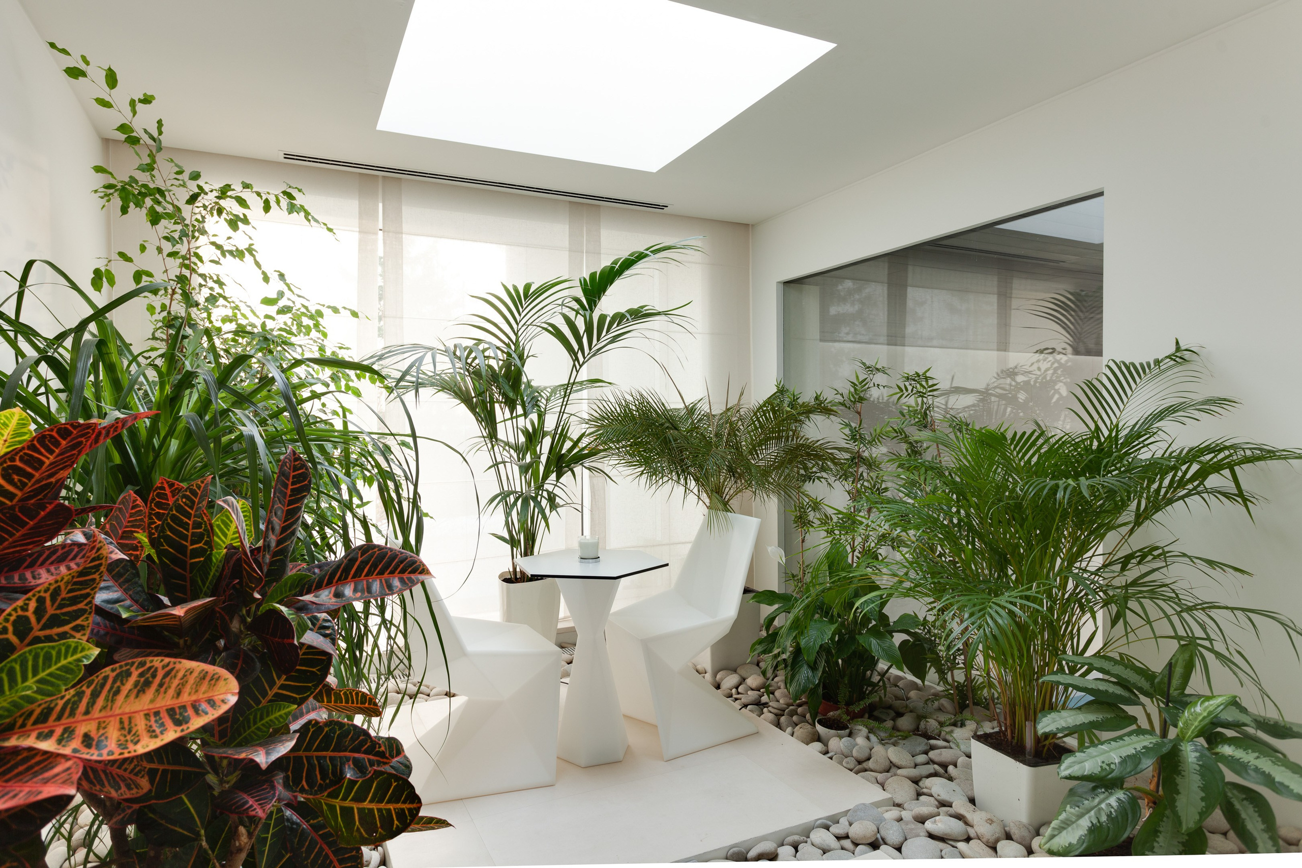 Luxury mansion winter garden interior  - photographer Andrey Dunin