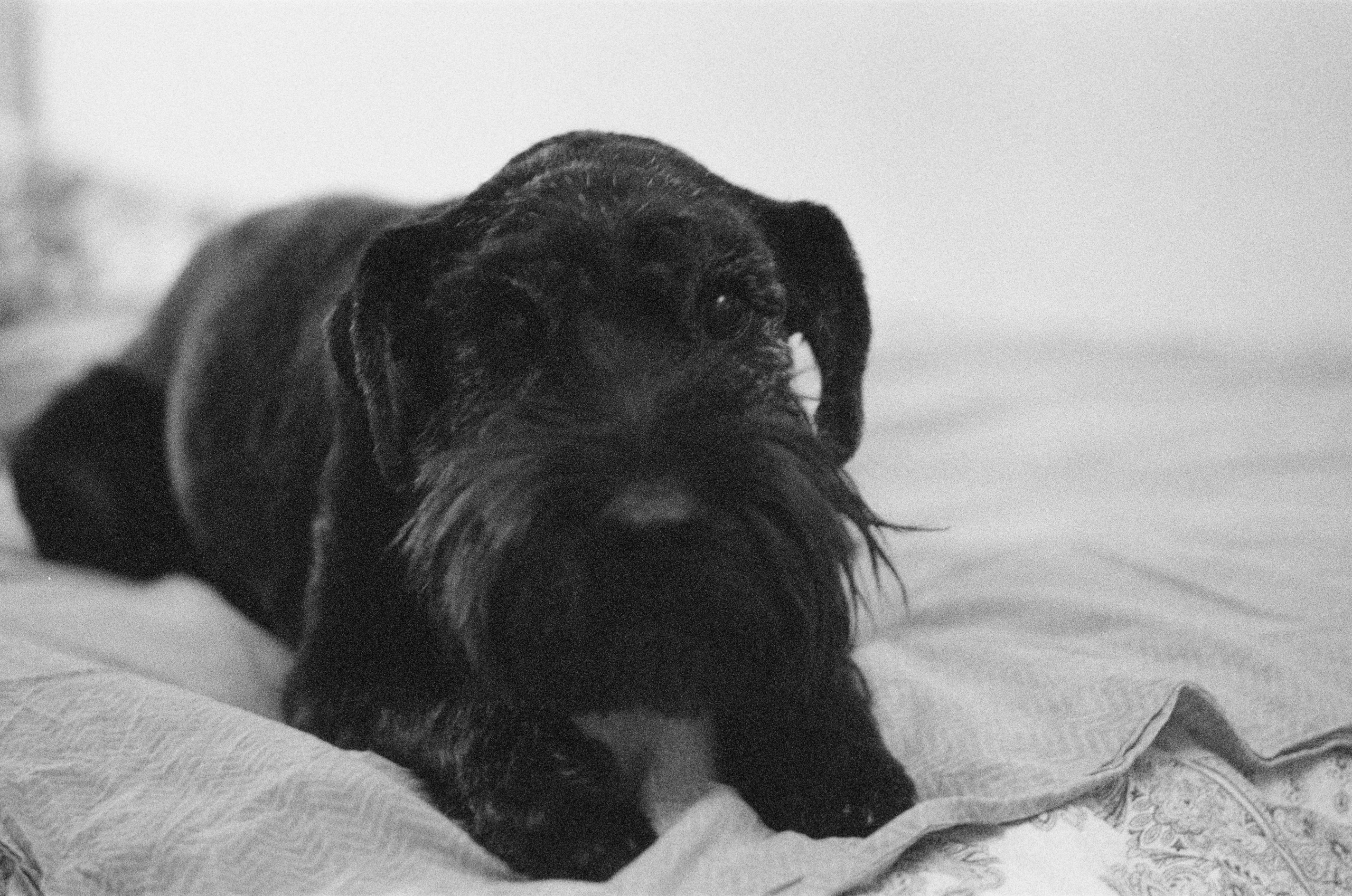 Плёнка. Человек в Шляпе