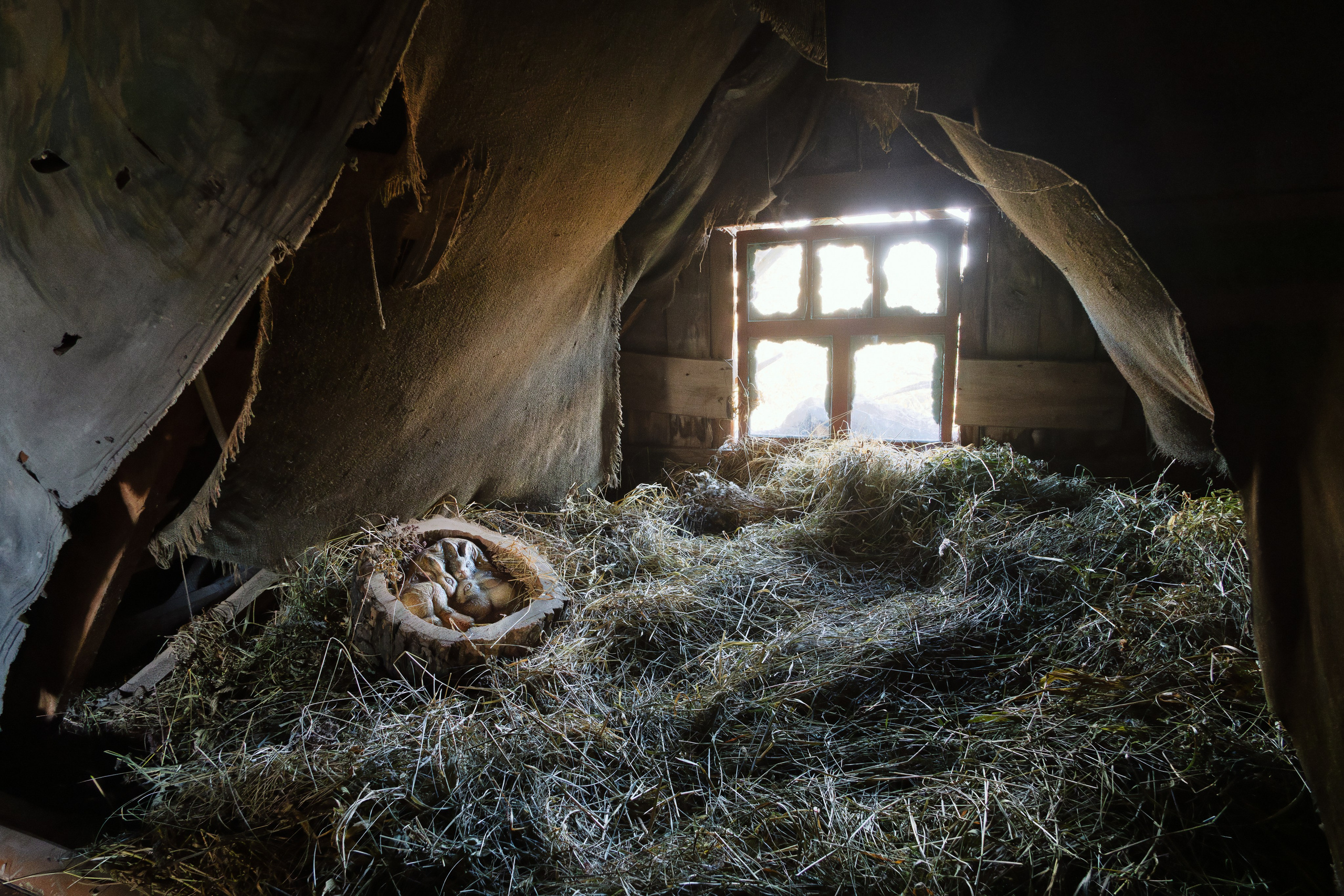 Голубые озера, Псковская область. Октябрь 2024. Фотограф Никифоров-Гордеев Сергей. Москва и МО
