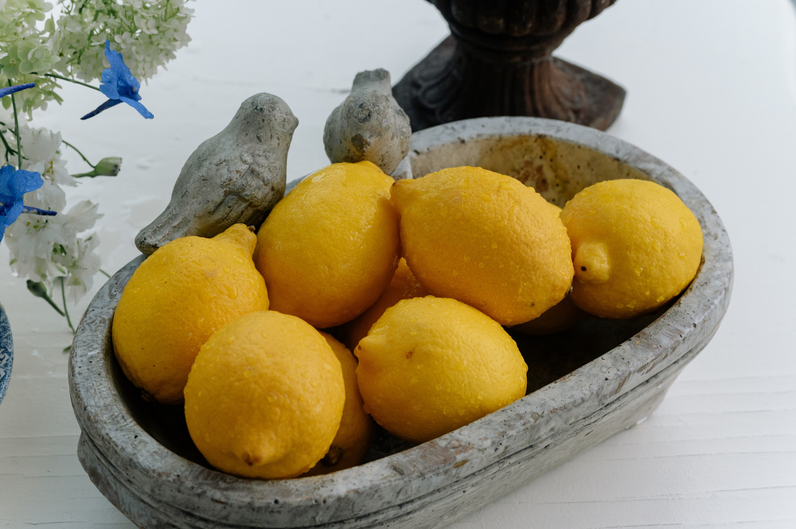 Павел и Элина. Свадебный фотограф Минск, Пинск, Брест, Гродно Чернигов Андрей