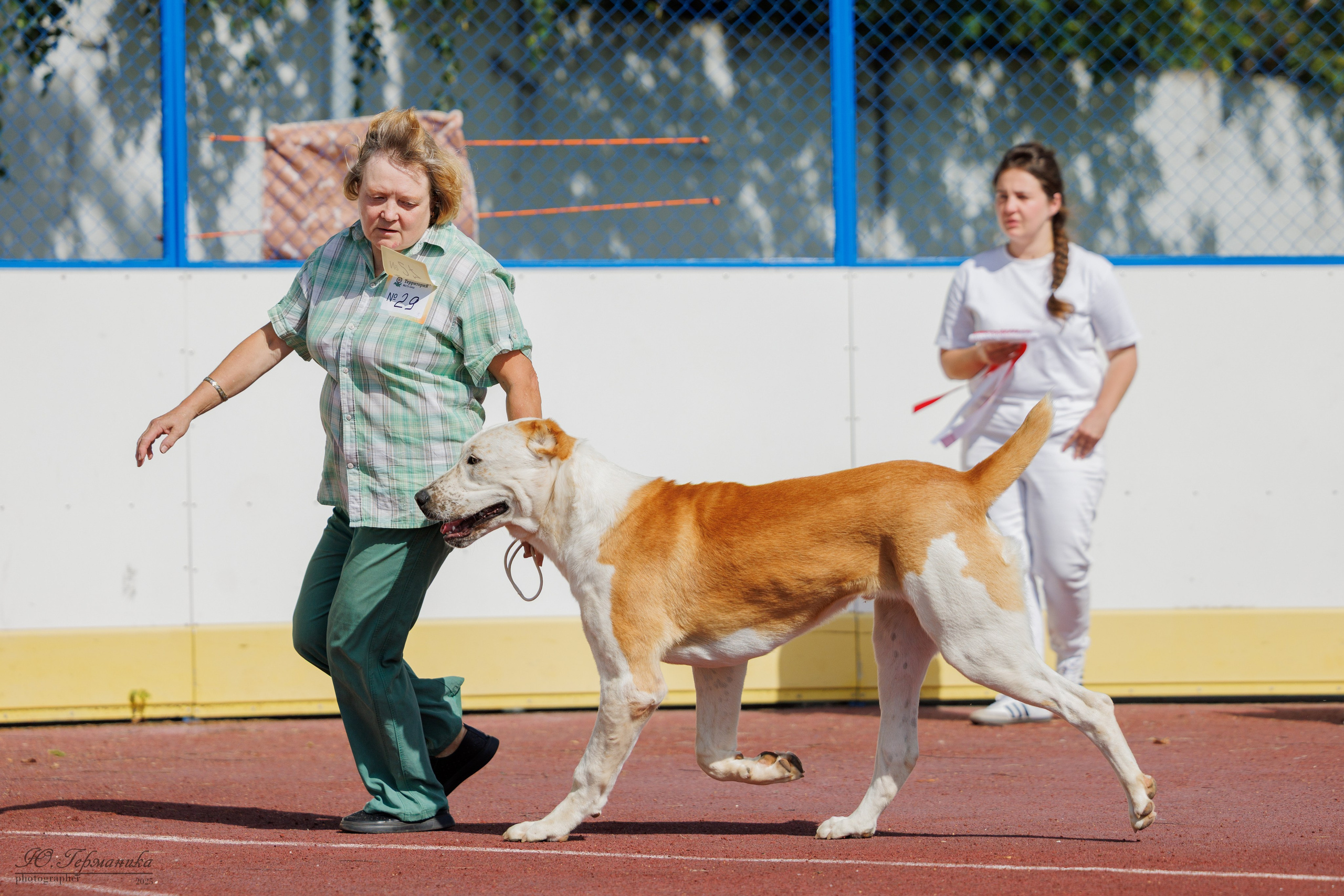 Коломна 30.08.2025. Фотограф-анималист Юлия Германика