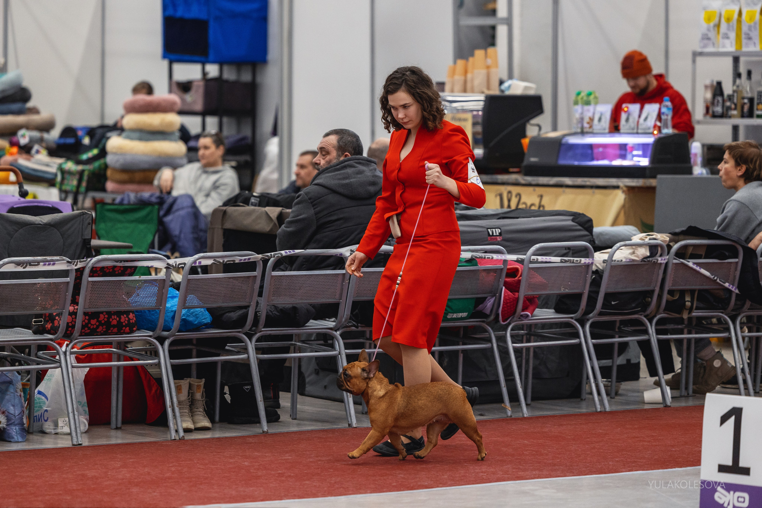 14.12.2024 Выставка собак всех пород «Кубок Дружбы — 2024». YULA KOLESOVA | Фотограф — Анималист | Художник | Тюмень