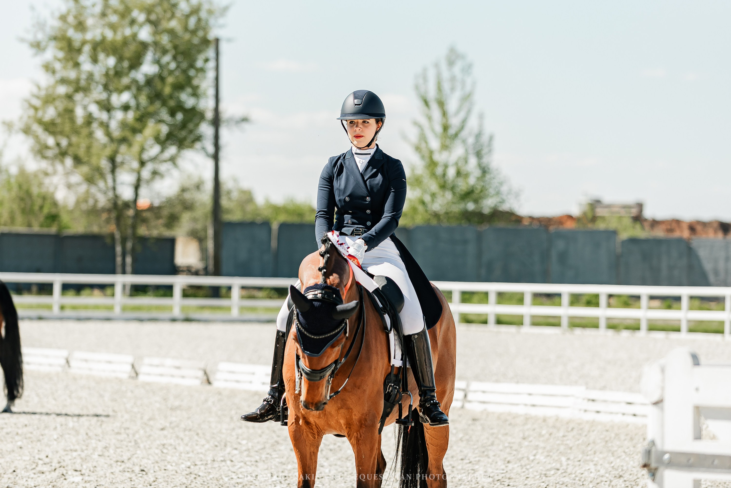 РЕПОРТАЖ МКК ВОЛЬТ «LA TULIPS». Конный фотограф Куракина Дарья • Фотосессии с лошадьми