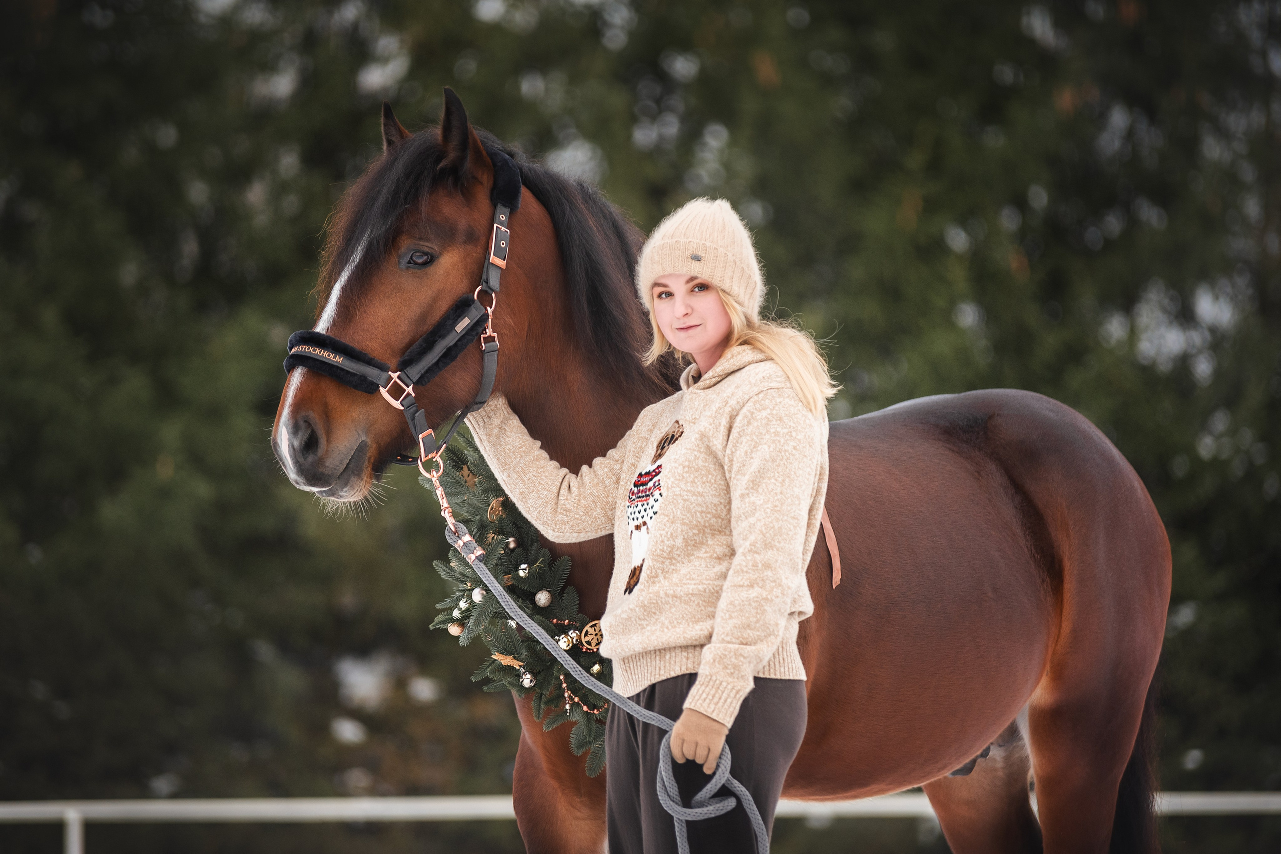 Новогодний Волконский. Конный фотограф Куракина Дарья • Фотосессии с лошадьми