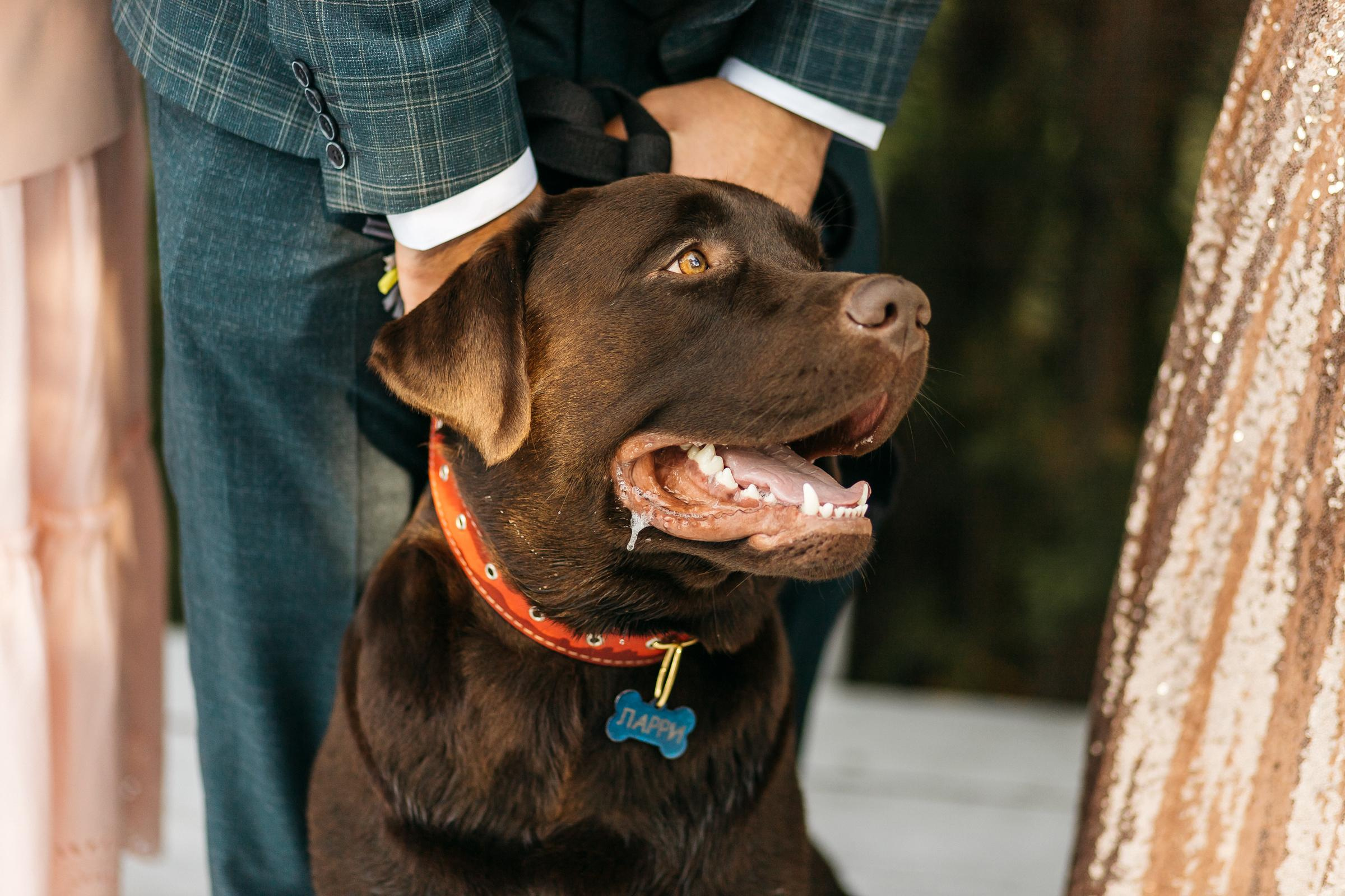 Сергей&Екатерина