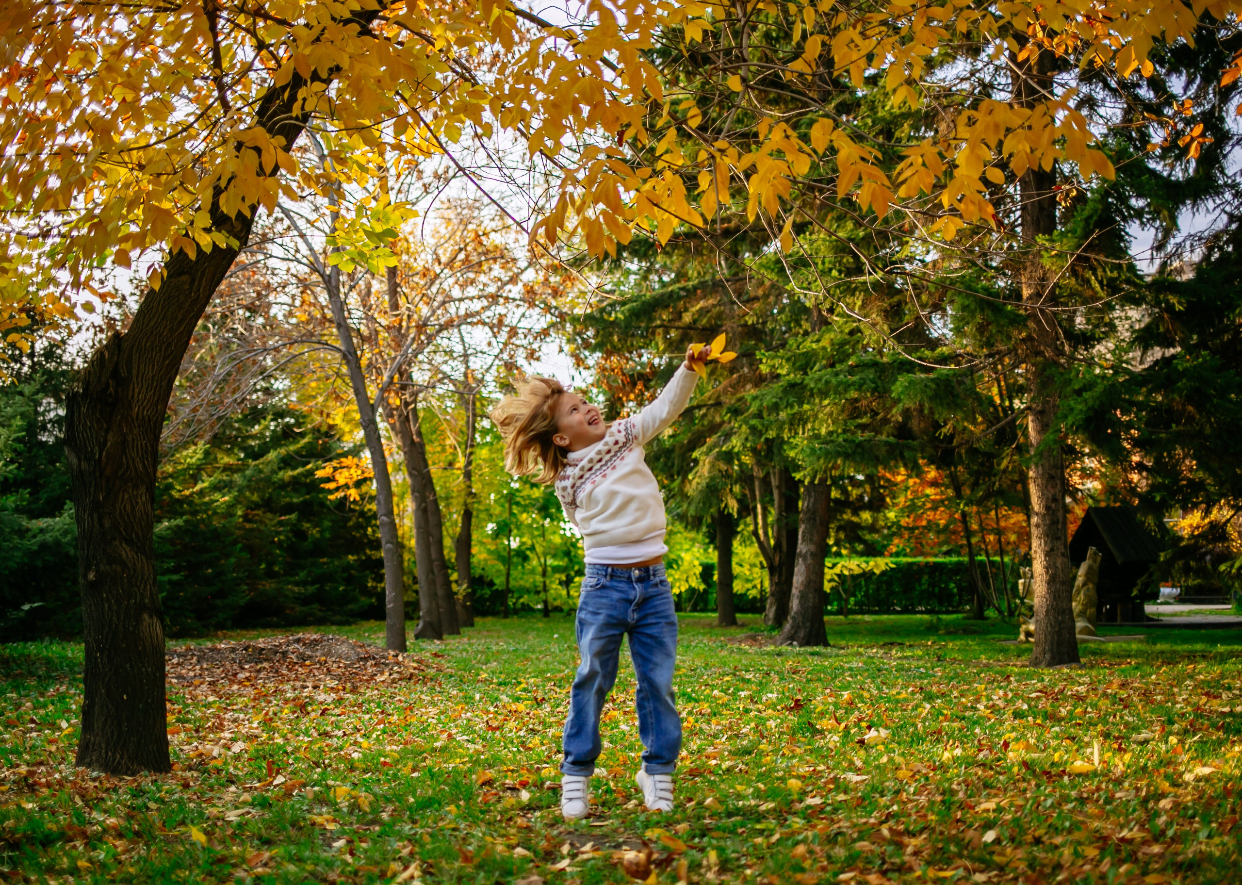Юля, Анюта, Есения