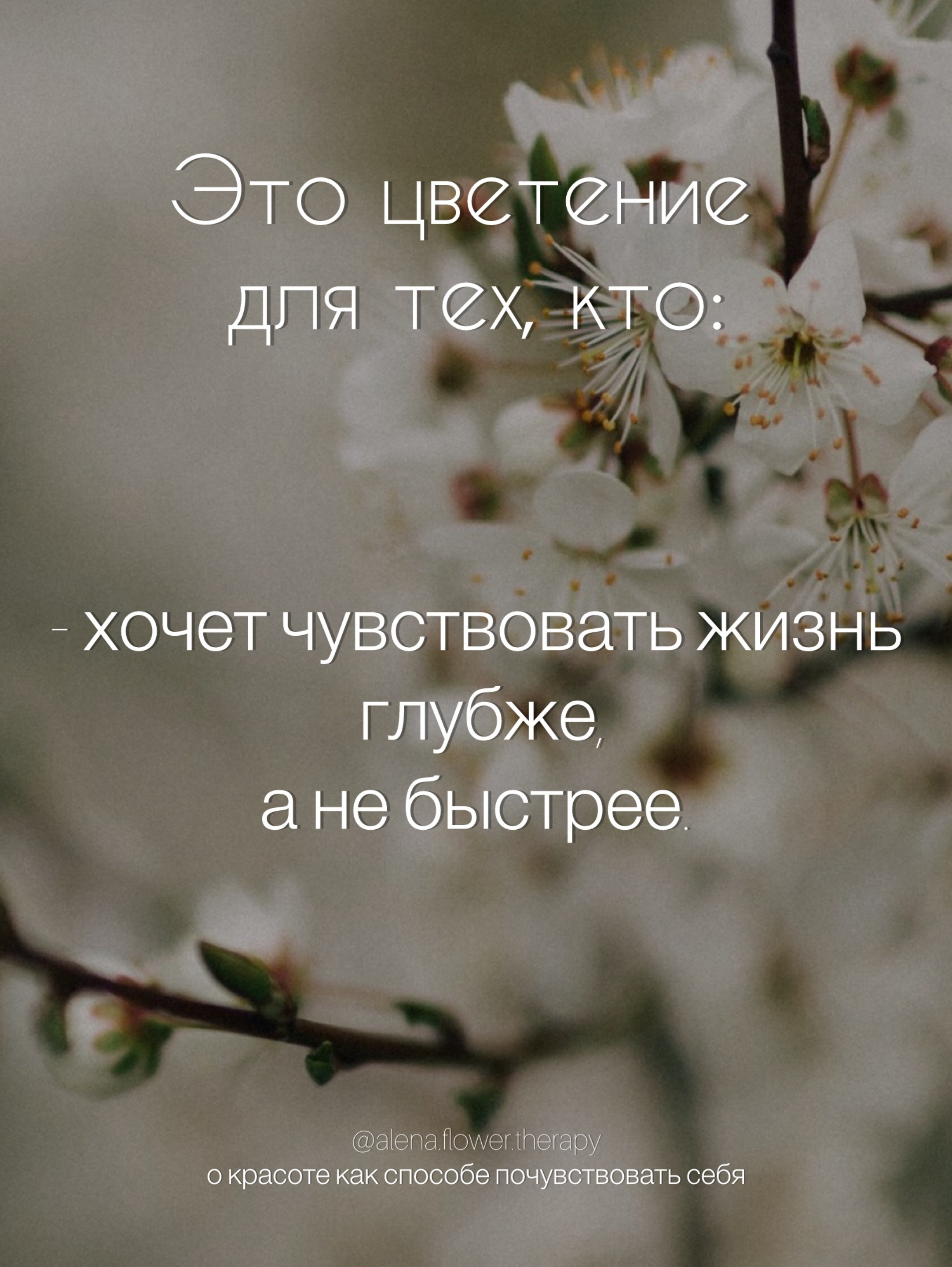 Психологический портрет: цветение вишни — цветочный архетип