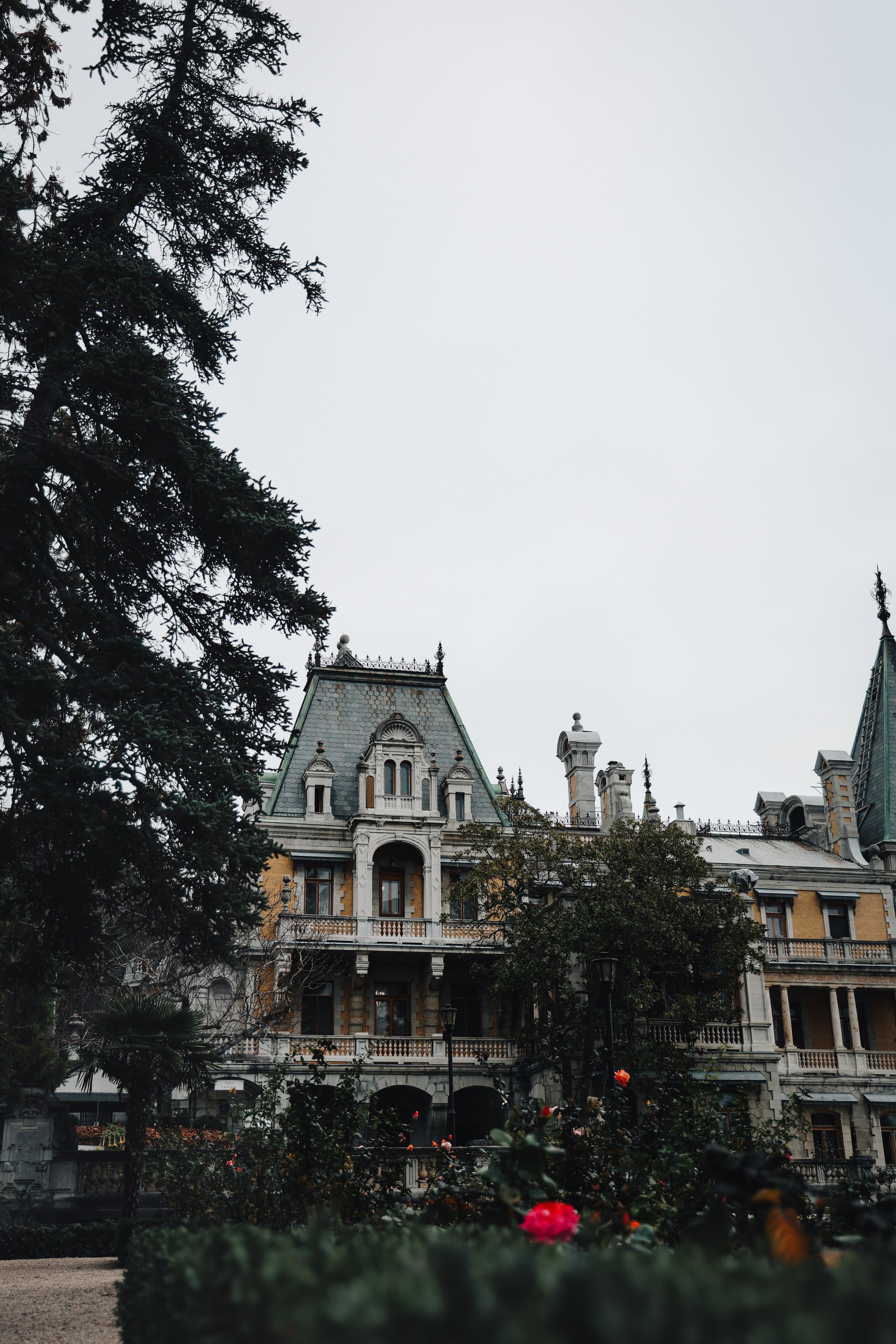 Дарина. Фотограф в Крыму Кудрявцева Дарья