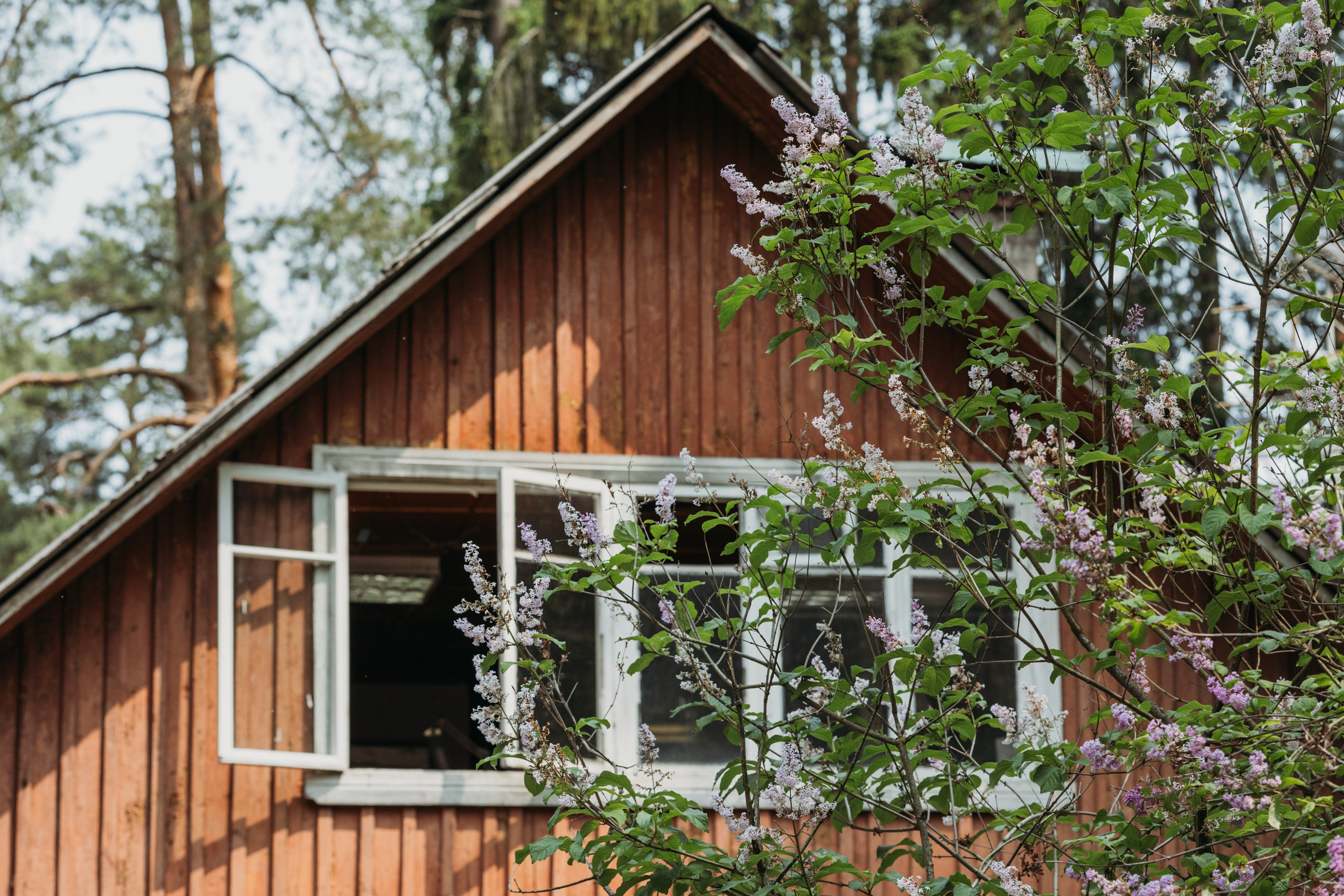Родные люди «Переделкино». Леся Гаранина. Семейный фотограф/видеограф Москва и область
