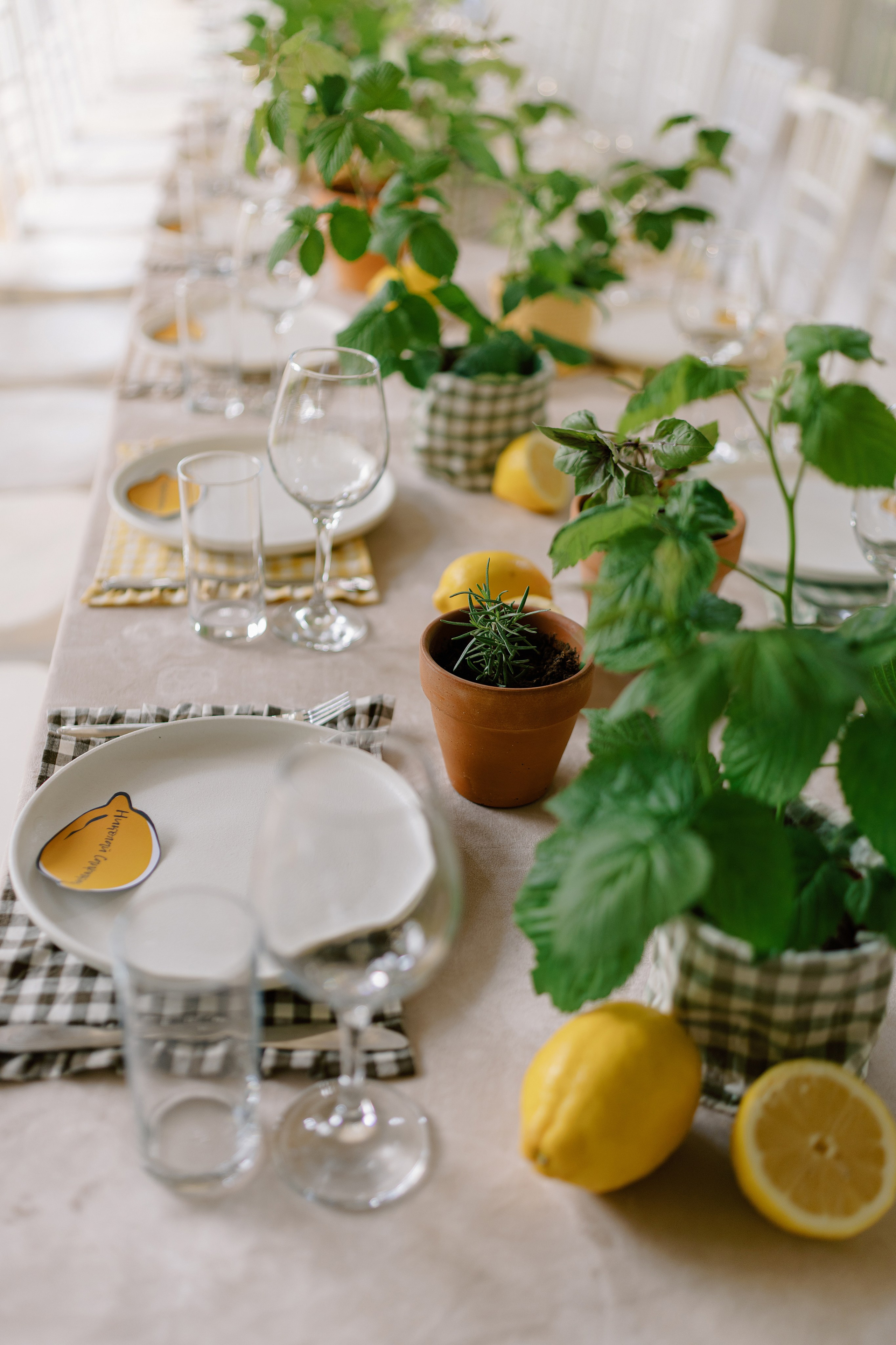 A&A. Пушистая Сова - Свадебный и портретный фотограф Воронеж, Москва, Питер