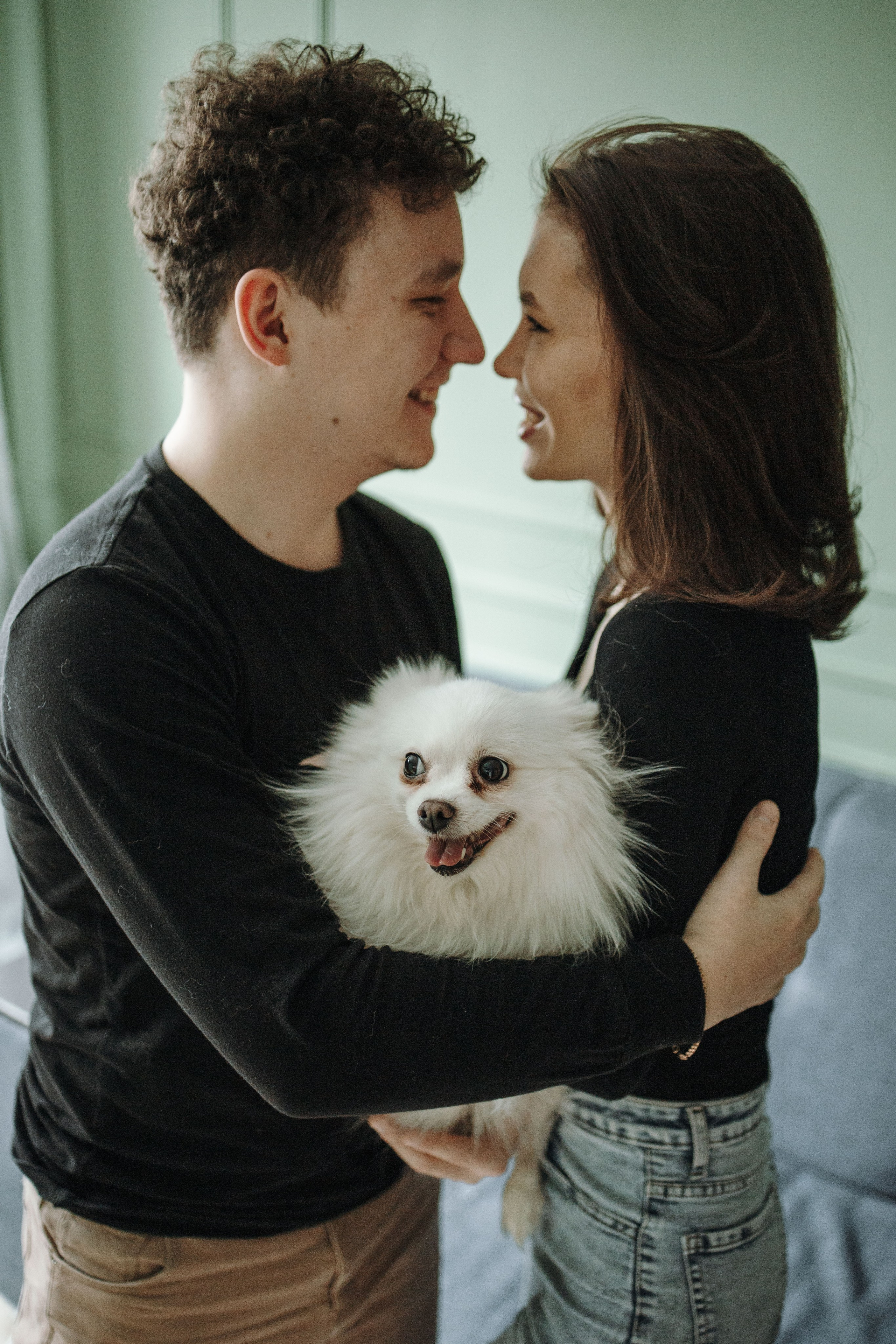 Шпиц Мася и ее семья