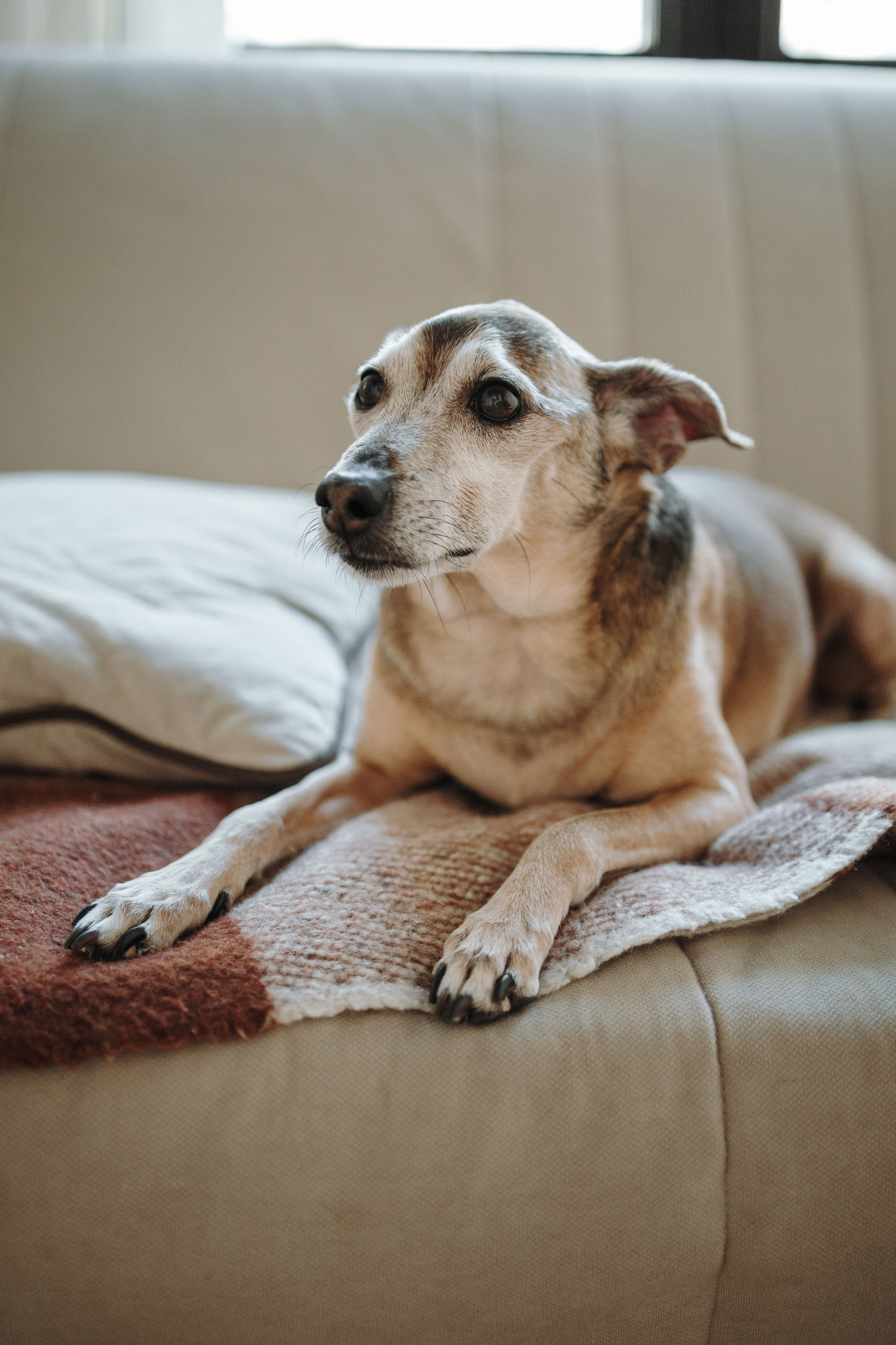 Николас и его семья