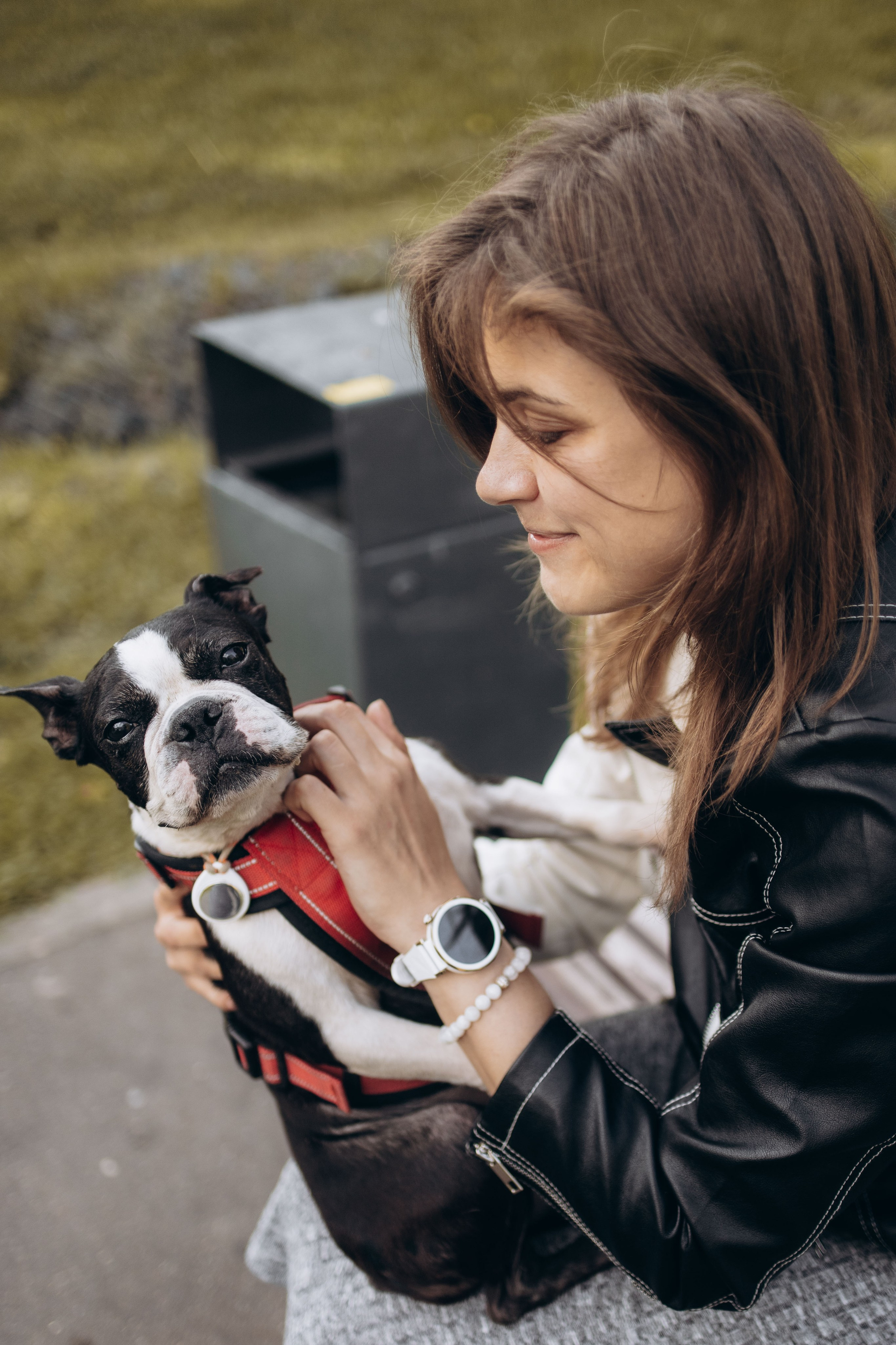 Оля и бульдоги