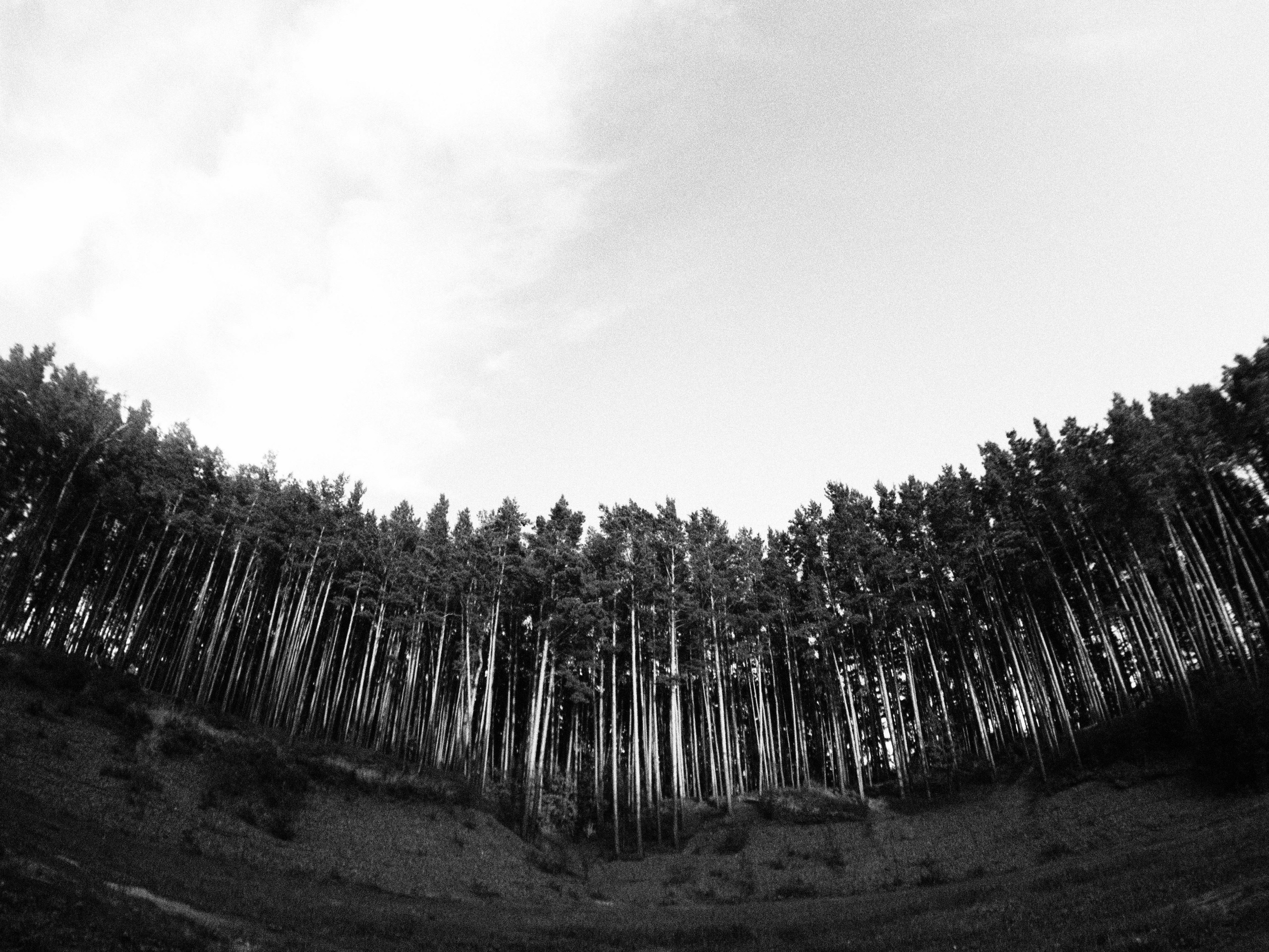 Промежуточные моменты (2023)