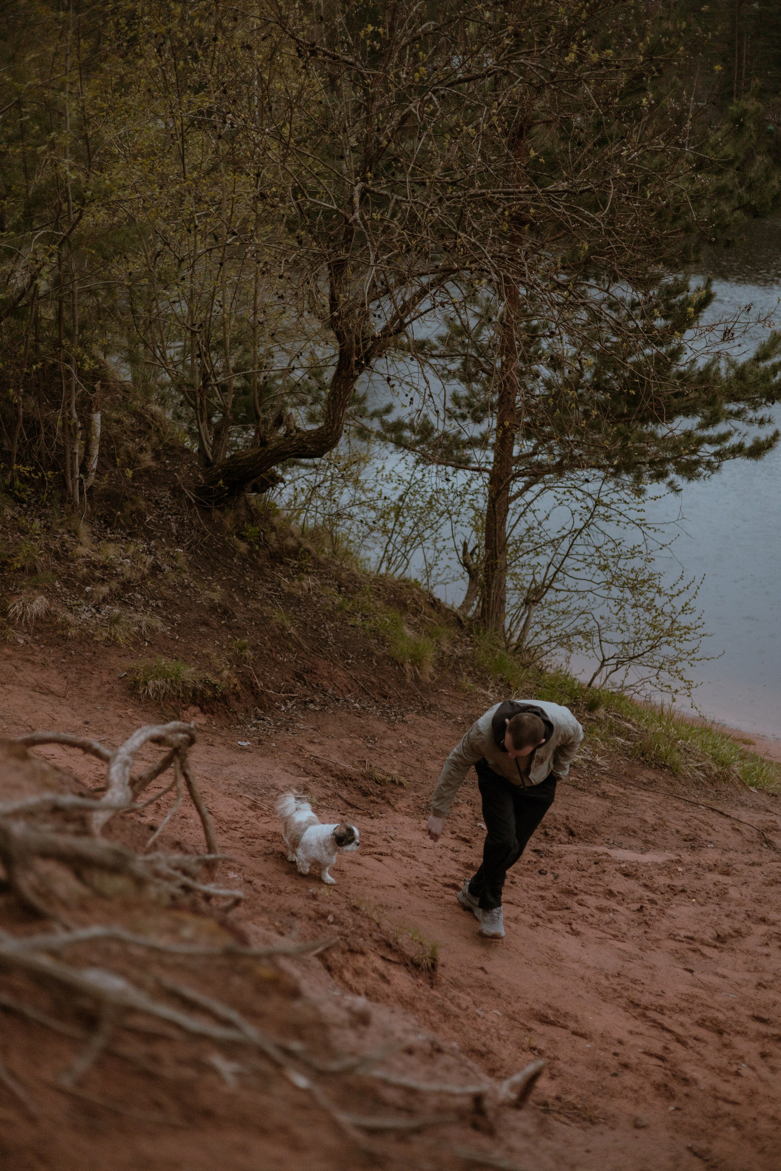 Влад и Франт. Фотограф — анималист •love-story•|Санкт-Петербург