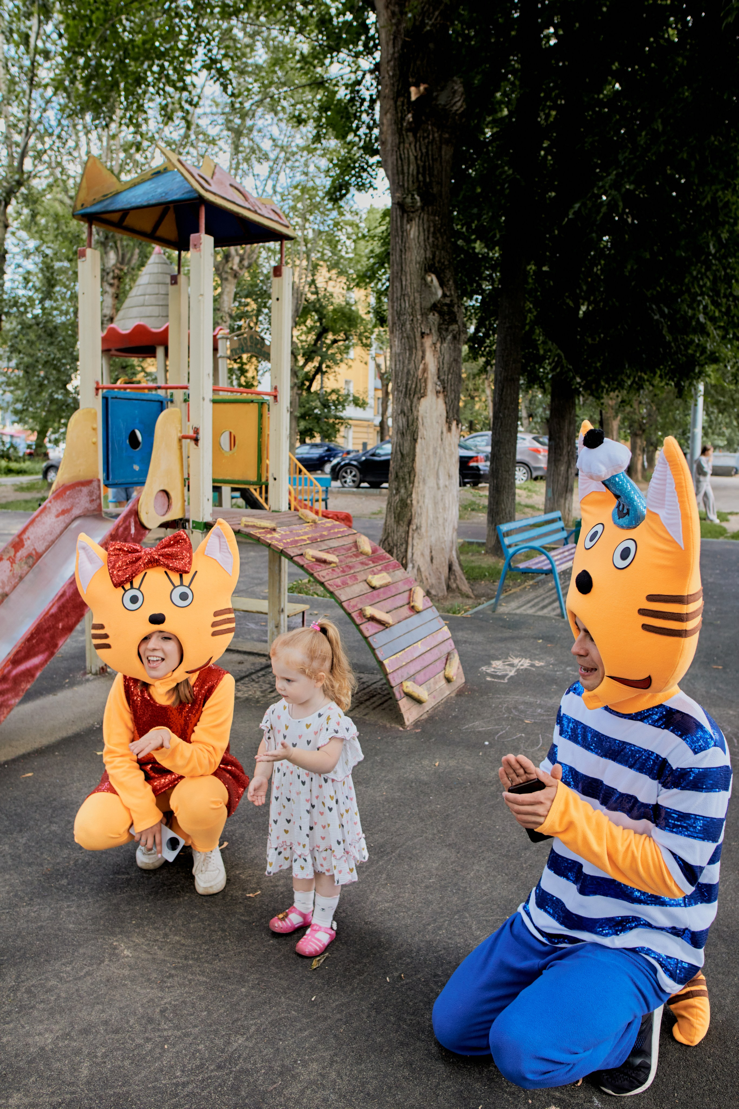 Три кота. Фотограф Москва