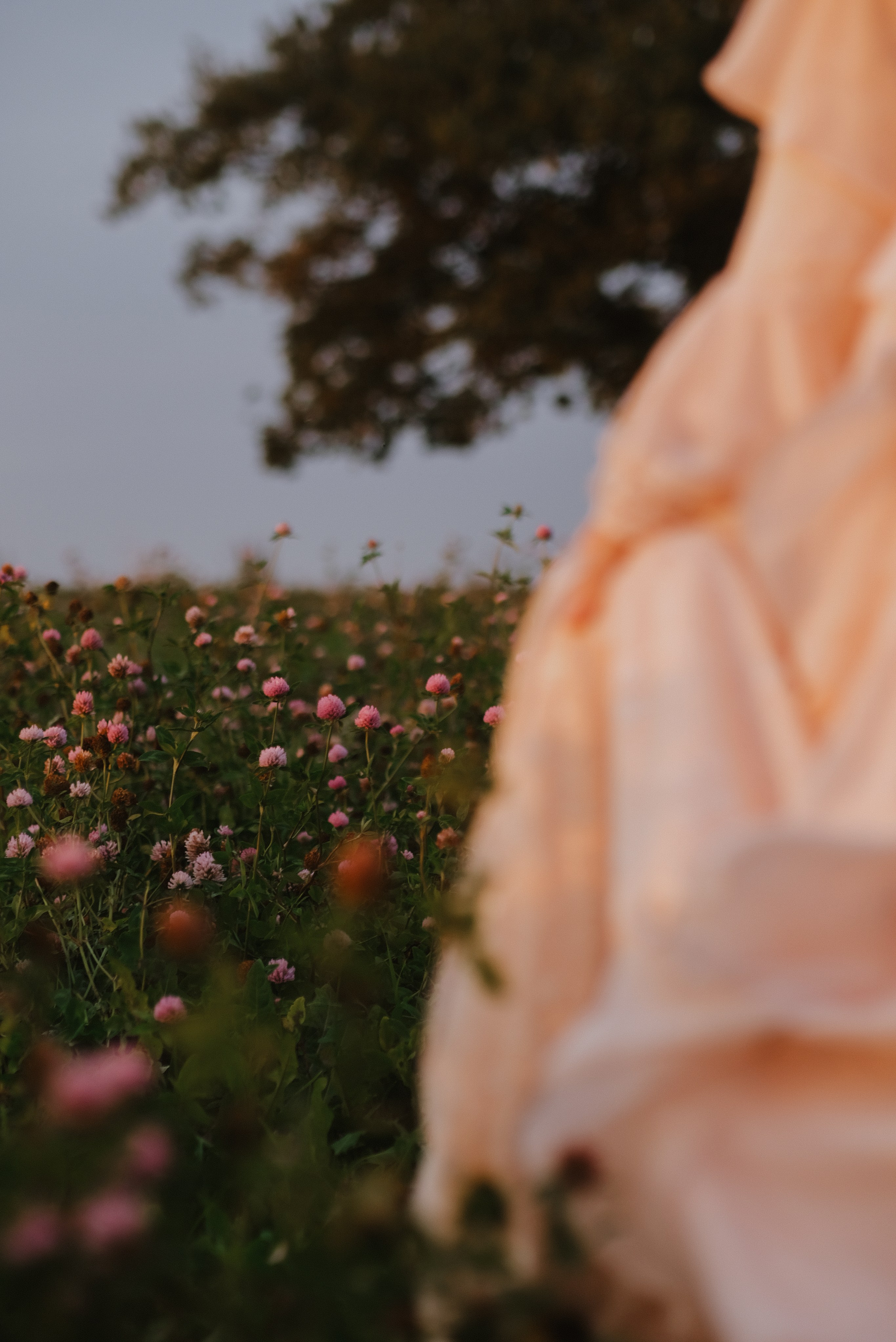 Альбом 11. Фотограф Катерина Мартьянова Санкт-Петербург