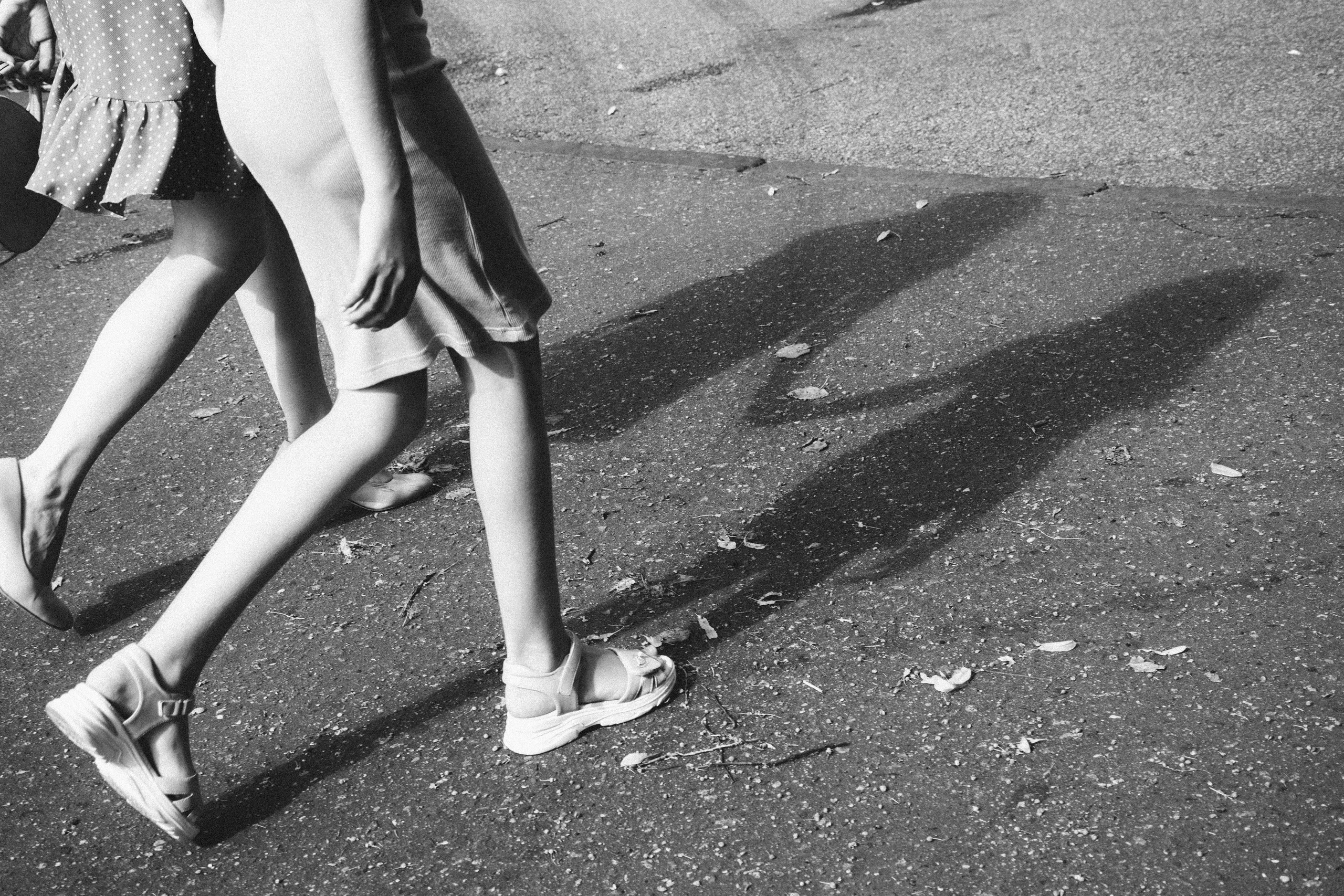 Вика и Василиса. Портретный фотограф Петрова Мария