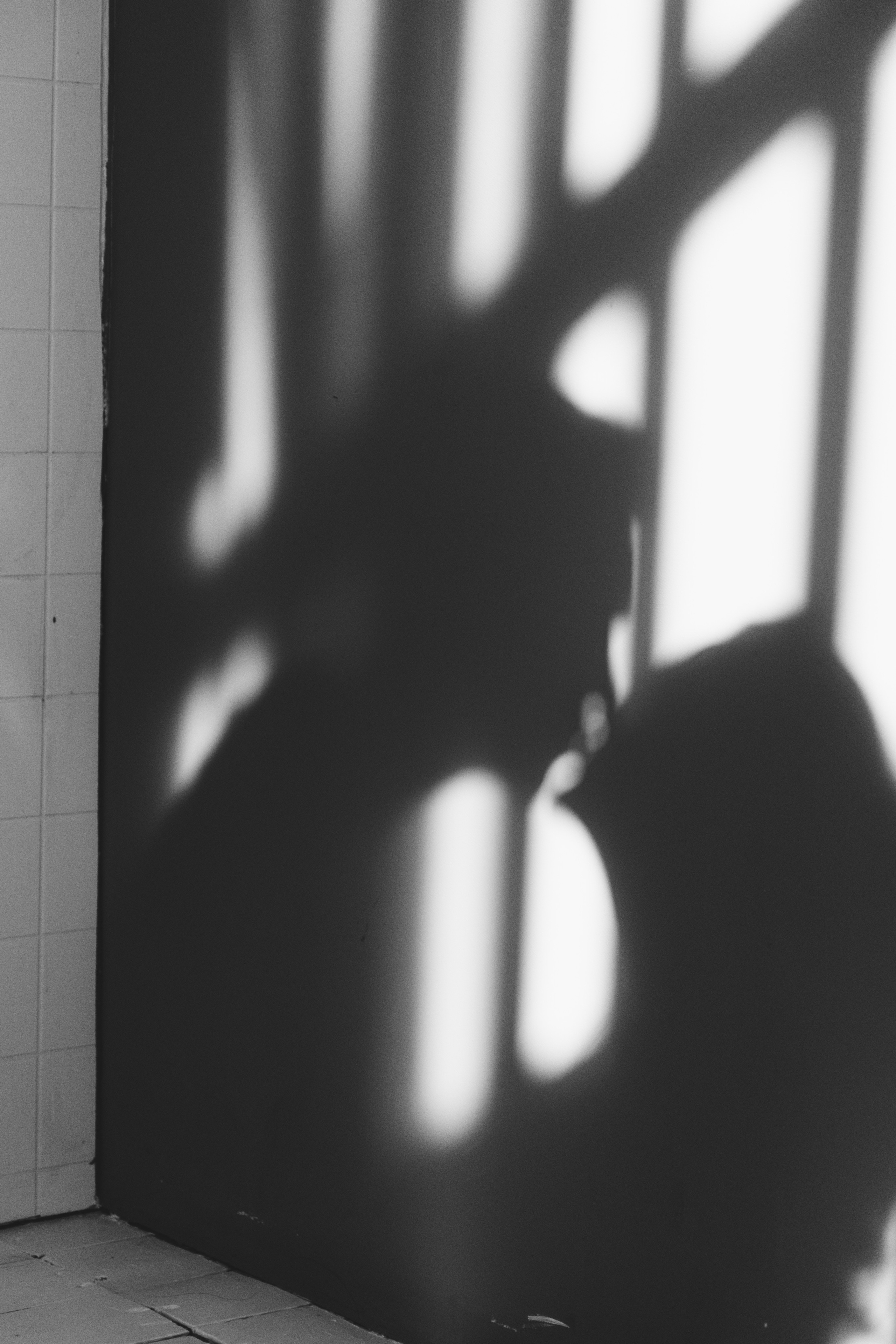 Анель и Апо. Портретный фотограф Петрова Мария