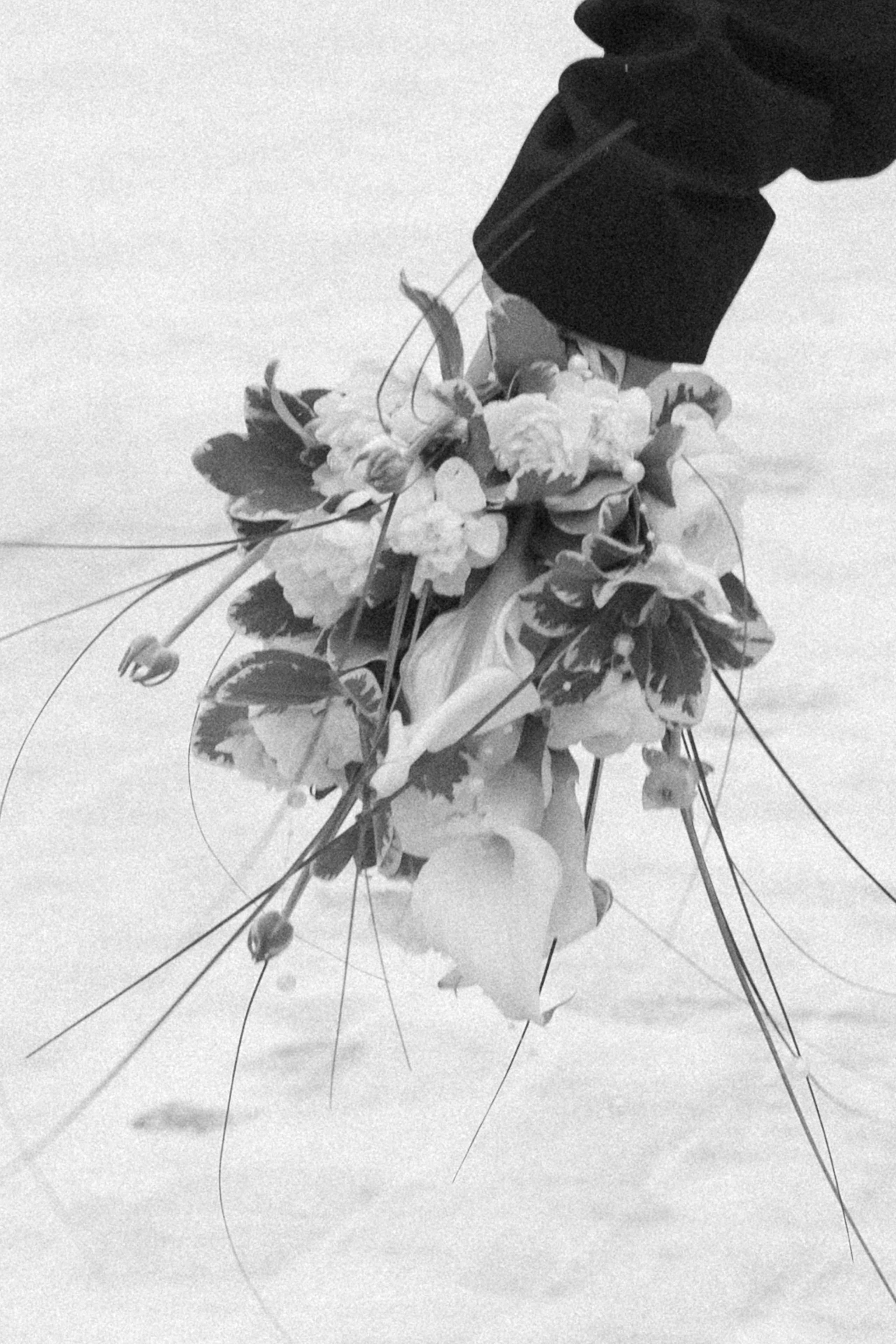 А&О Прогулка + ЗАГС. Свадебный, репортажный, семейный фотограф Елена Брюхова