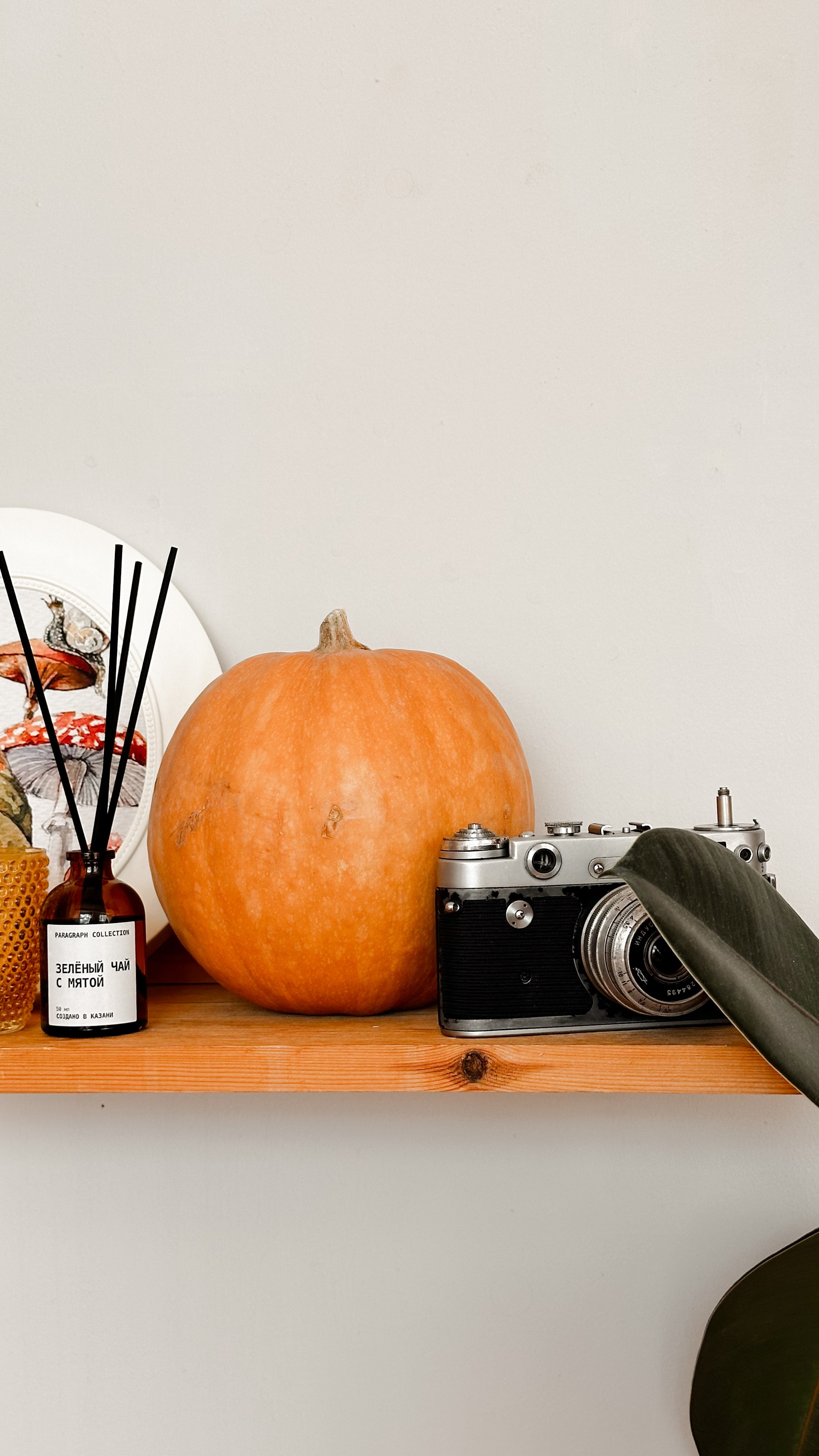 Loft Потолок, зал Потолок. Свадебный семейный и детский фотограф в Краснодаре Карина Федоровская