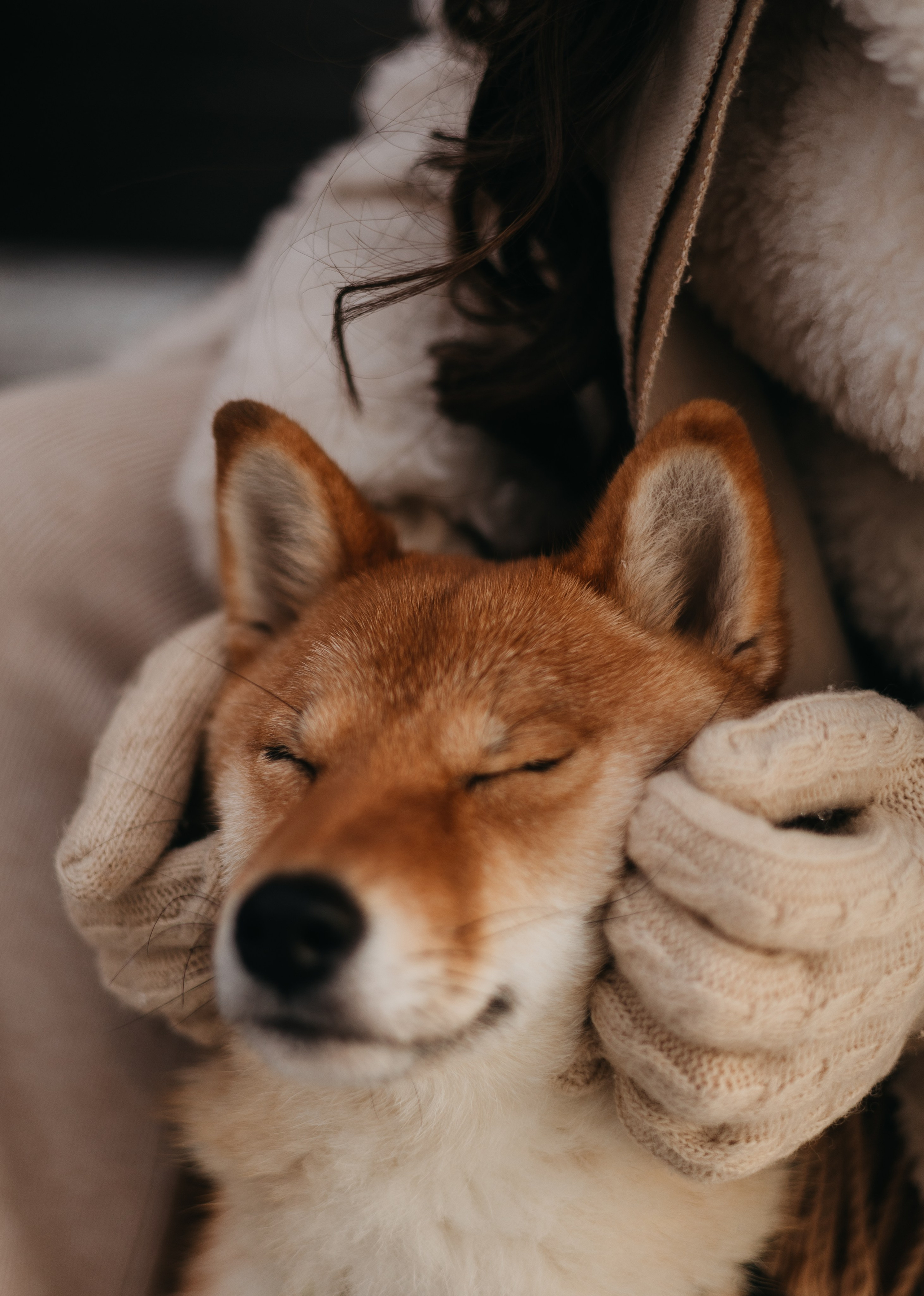 Рената, Саша и Луна. Фотограф животных Евгения Верцинская